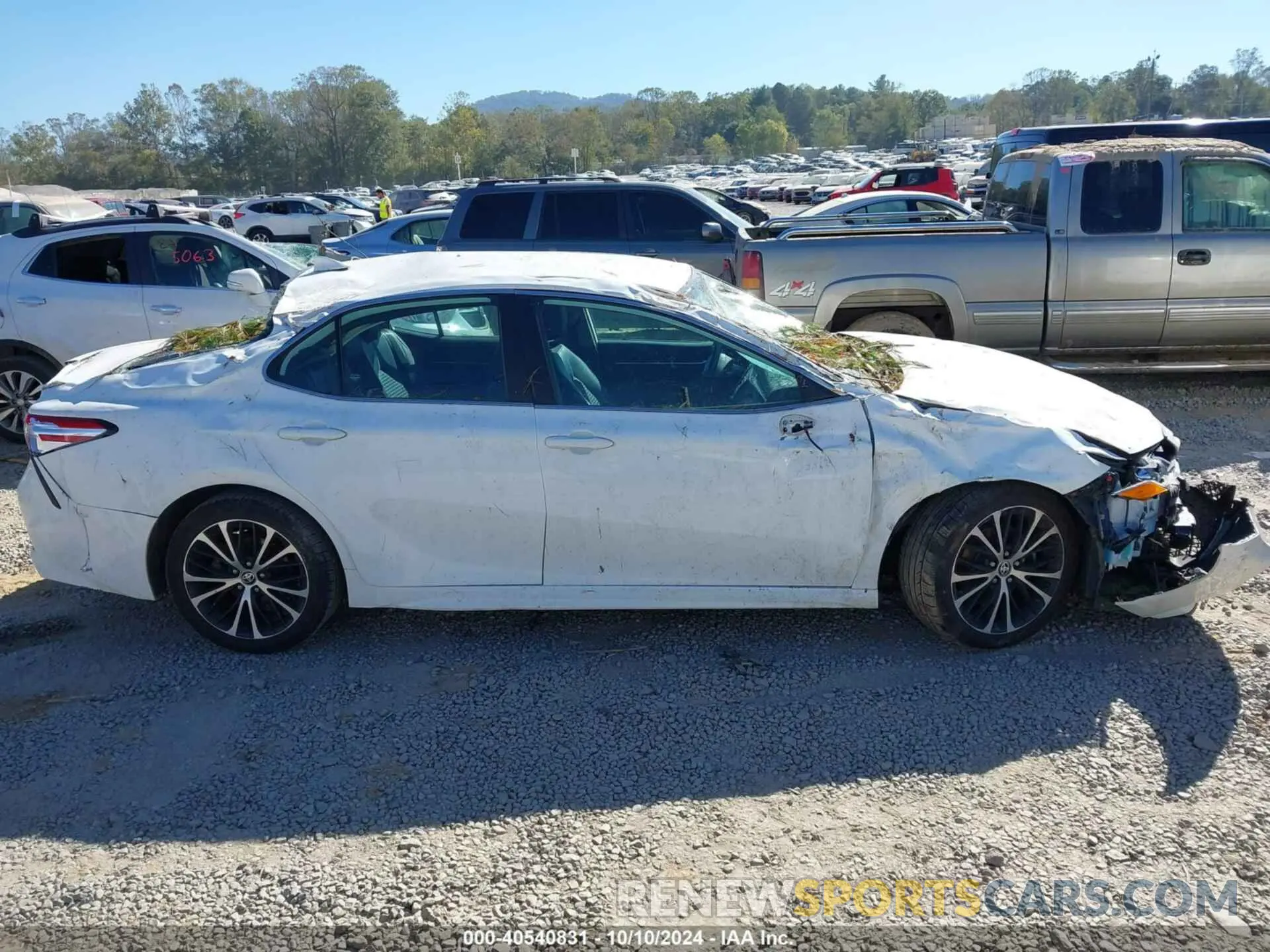 12 Photograph of a damaged car 4T1G11AK7LU967358 TOYOTA CAMRY 2020