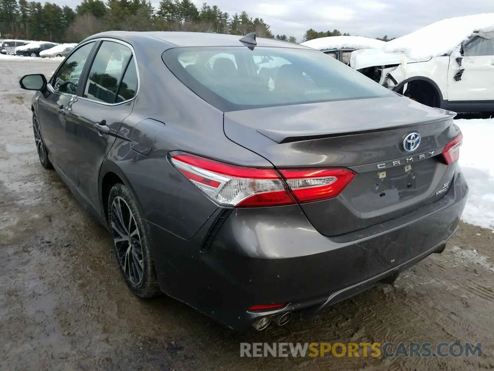 3 Photograph of a damaged car 4T1G31AK3LU544061 TOYOTA CAMRY 2020