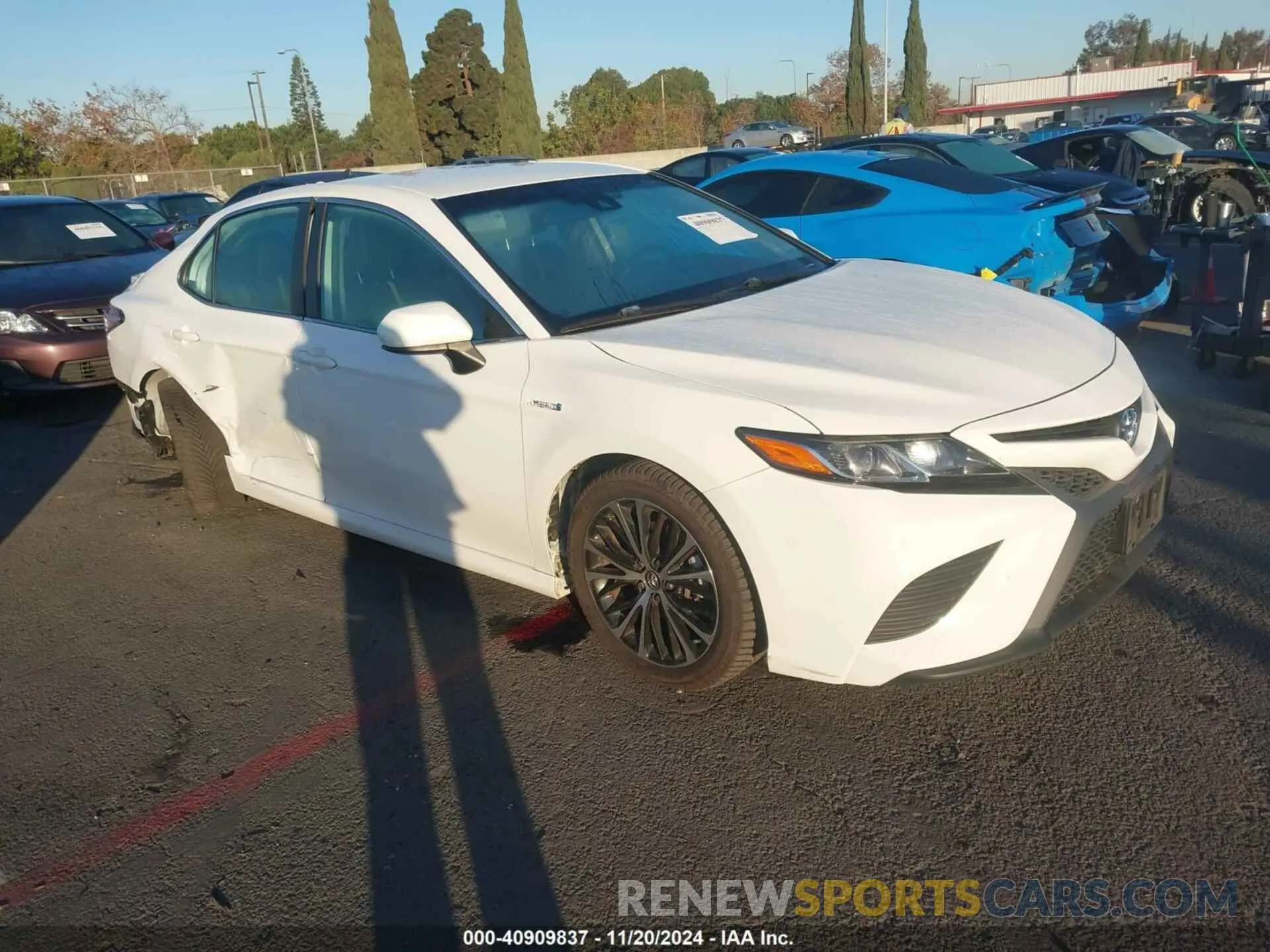 1 Фотография поврежденного автомобиля 4T1G31AKXLU519500 TOYOTA CAMRY 2020