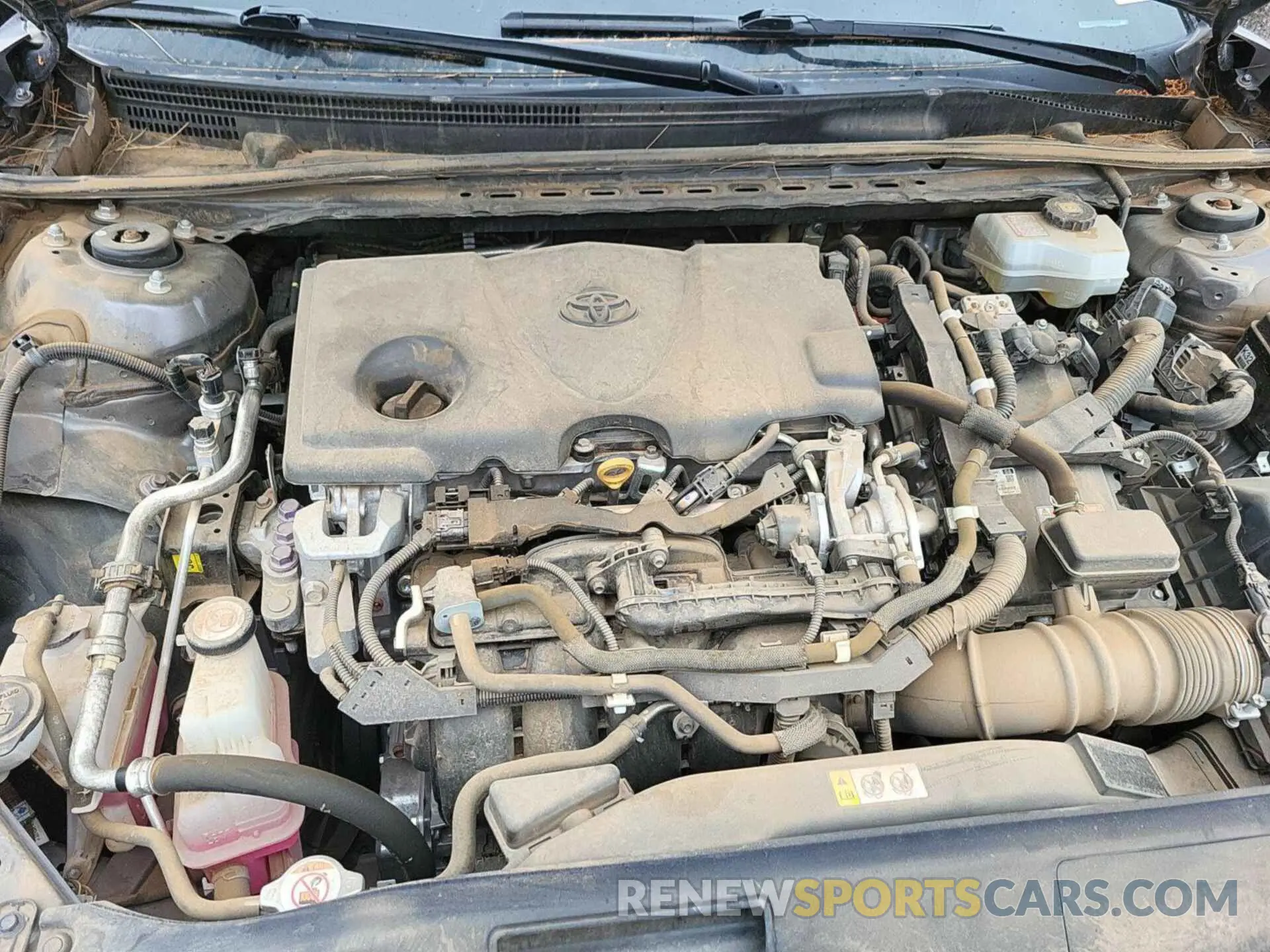 16 Photograph of a damaged car 4T1L31AK6LU536910 TOYOTA CAMRY 2020