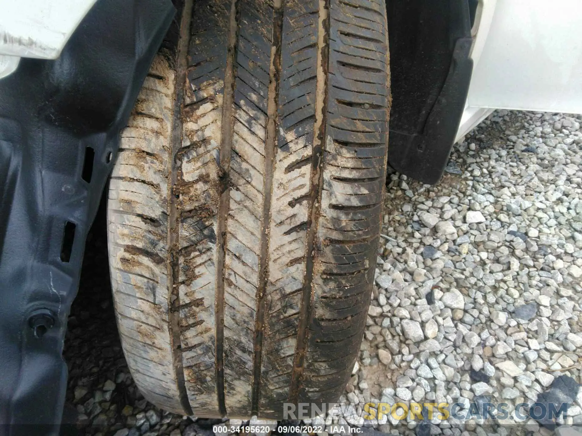 13 Фотография поврежденного автомобиля 4T1M11AK1LU866562 TOYOTA CAMRY 2020