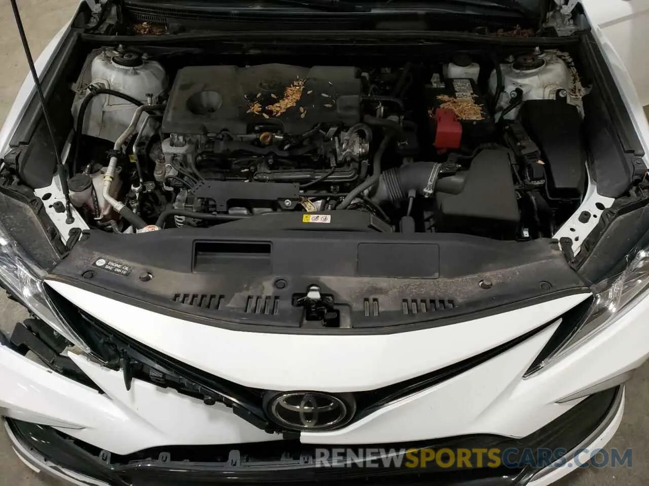 11 Photograph of a damaged car 4T1C11AK1MU558045 TOYOTA CAMRY 2021