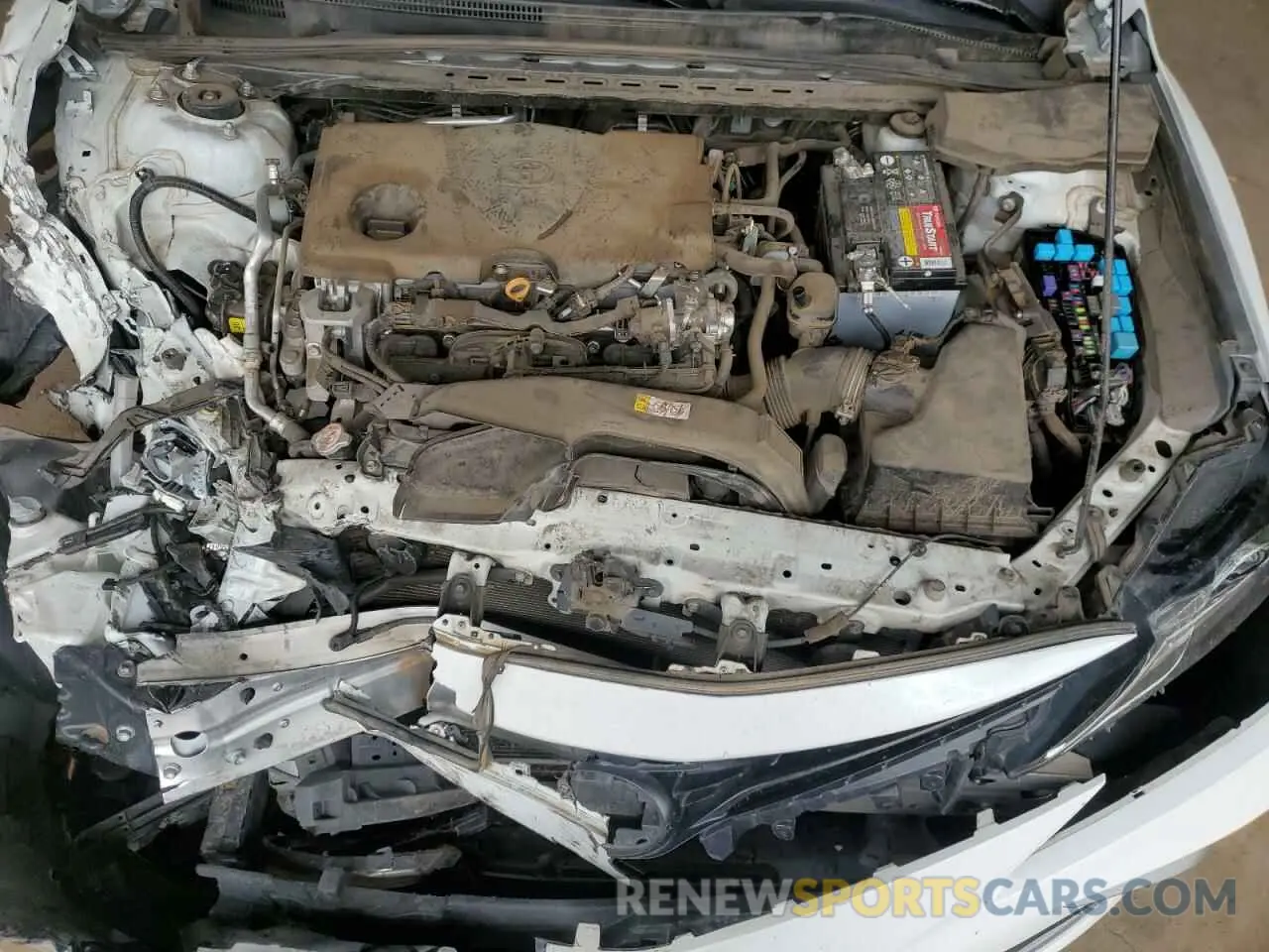 11 Photograph of a damaged car 4T1C11AK4MU446095 TOYOTA CAMRY 2021