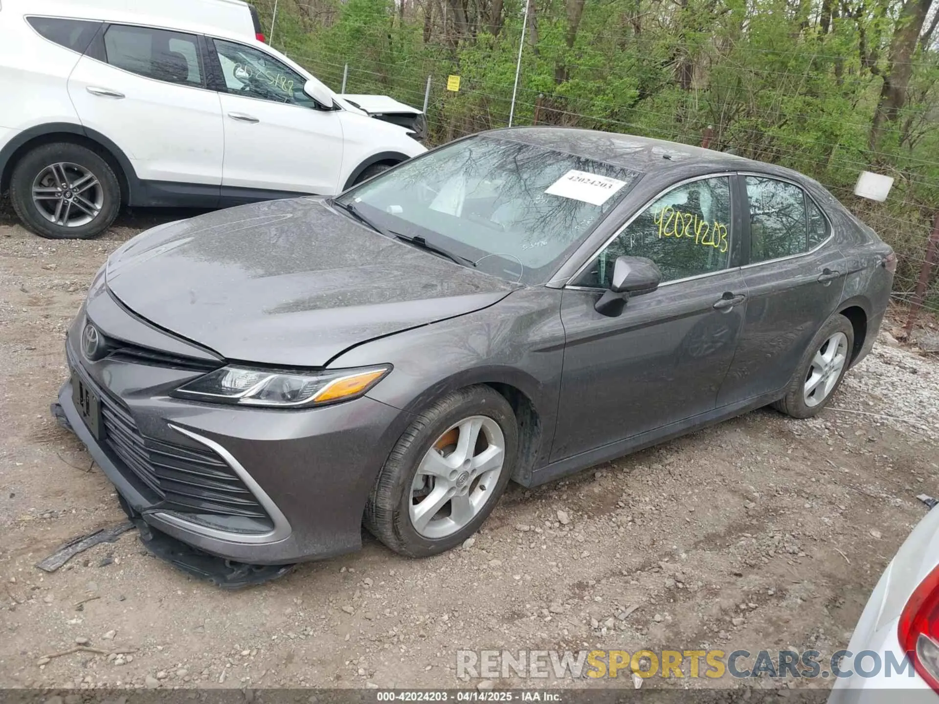 2 Photograph of a damaged car 4T1C11AK5MU468915 TOYOTA CAMRY 2021