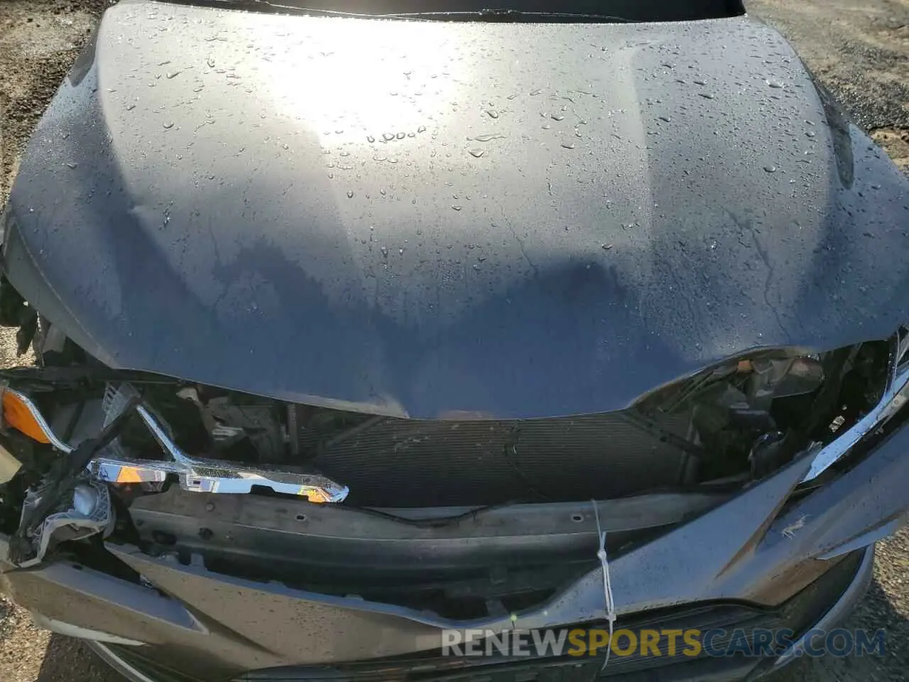 13 Photograph of a damaged car 4T1C11AK5MU541717 TOYOTA CAMRY 2021