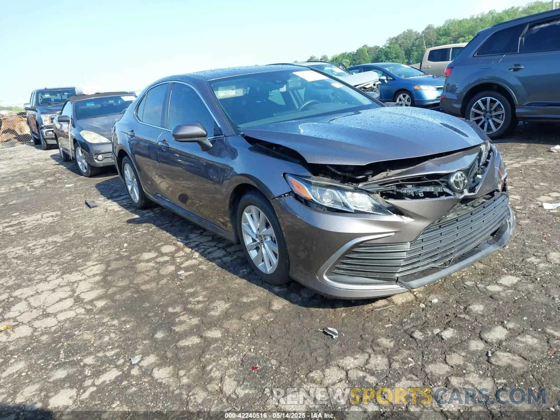 1 Фотография поврежденного автомобиля 4T1C11AK9MU467427 TOYOTA CAMRY 2021