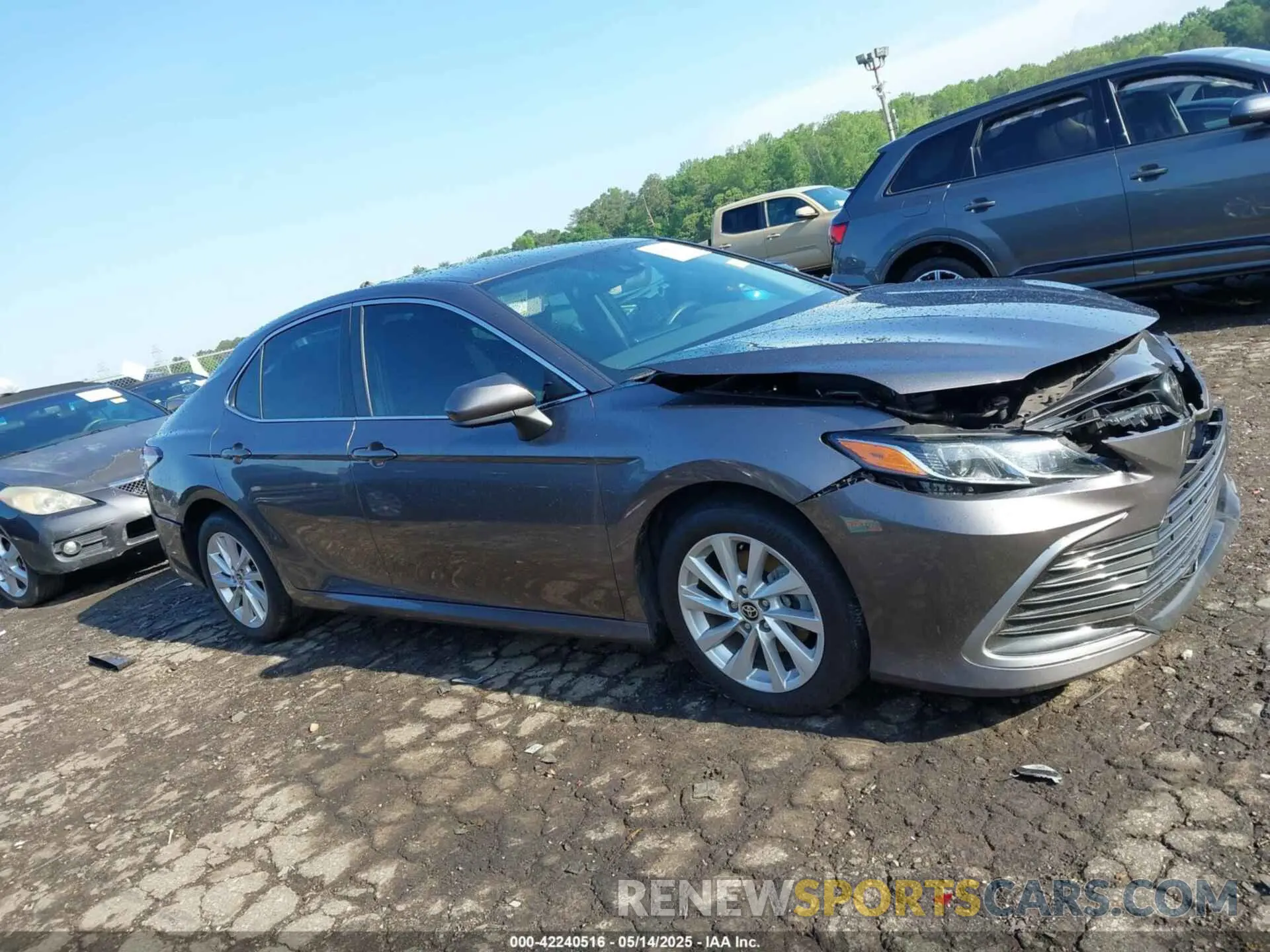 13 Фотография поврежденного автомобиля 4T1C11AK9MU467427 TOYOTA CAMRY 2021