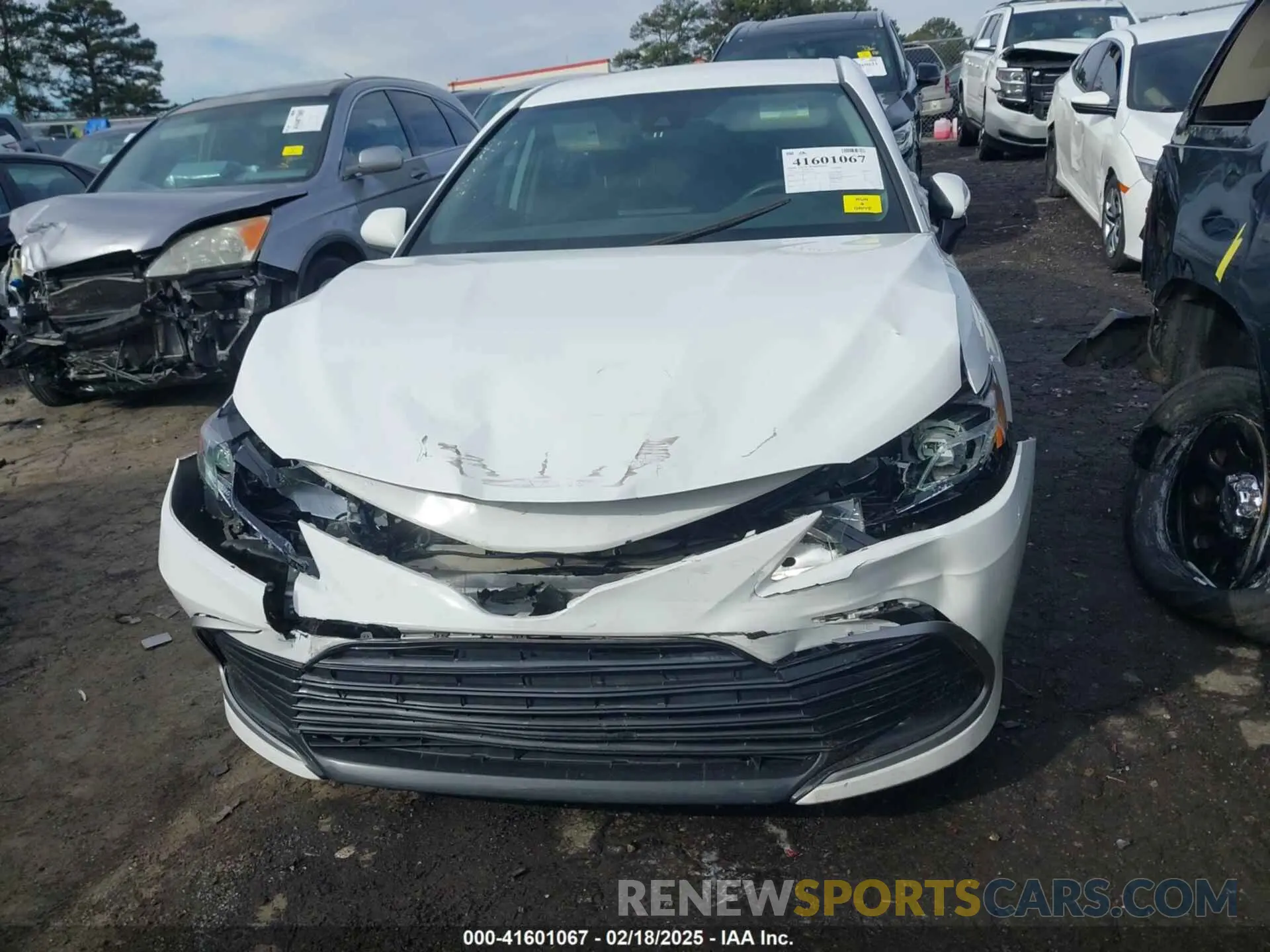 12 Photograph of a damaged car 4T1C11AK9MU581752 TOYOTA CAMRY 2021