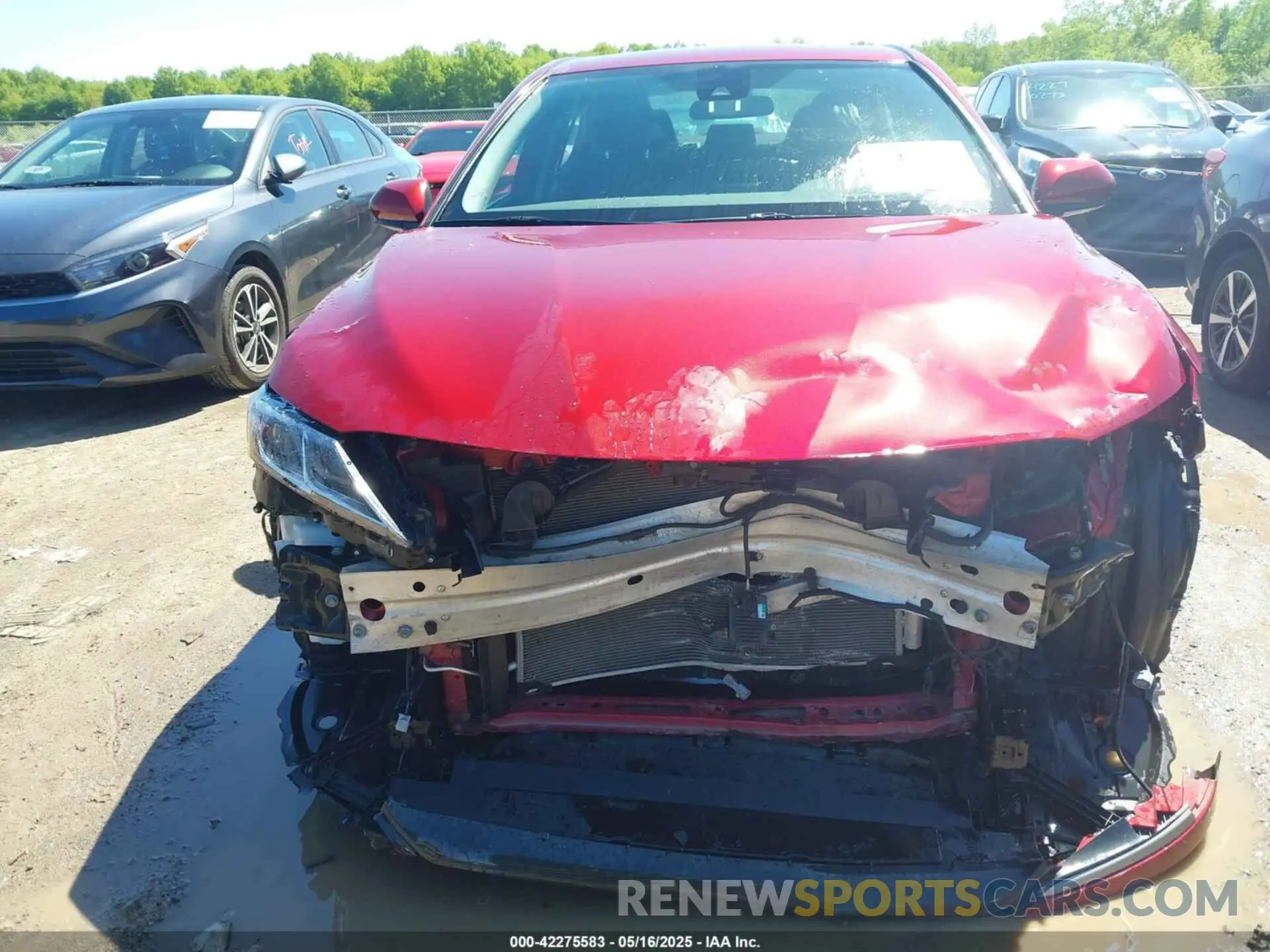 13 Photograph of a damaged car 4T1C31AK5MU030499 TOYOTA CAMRY 2021