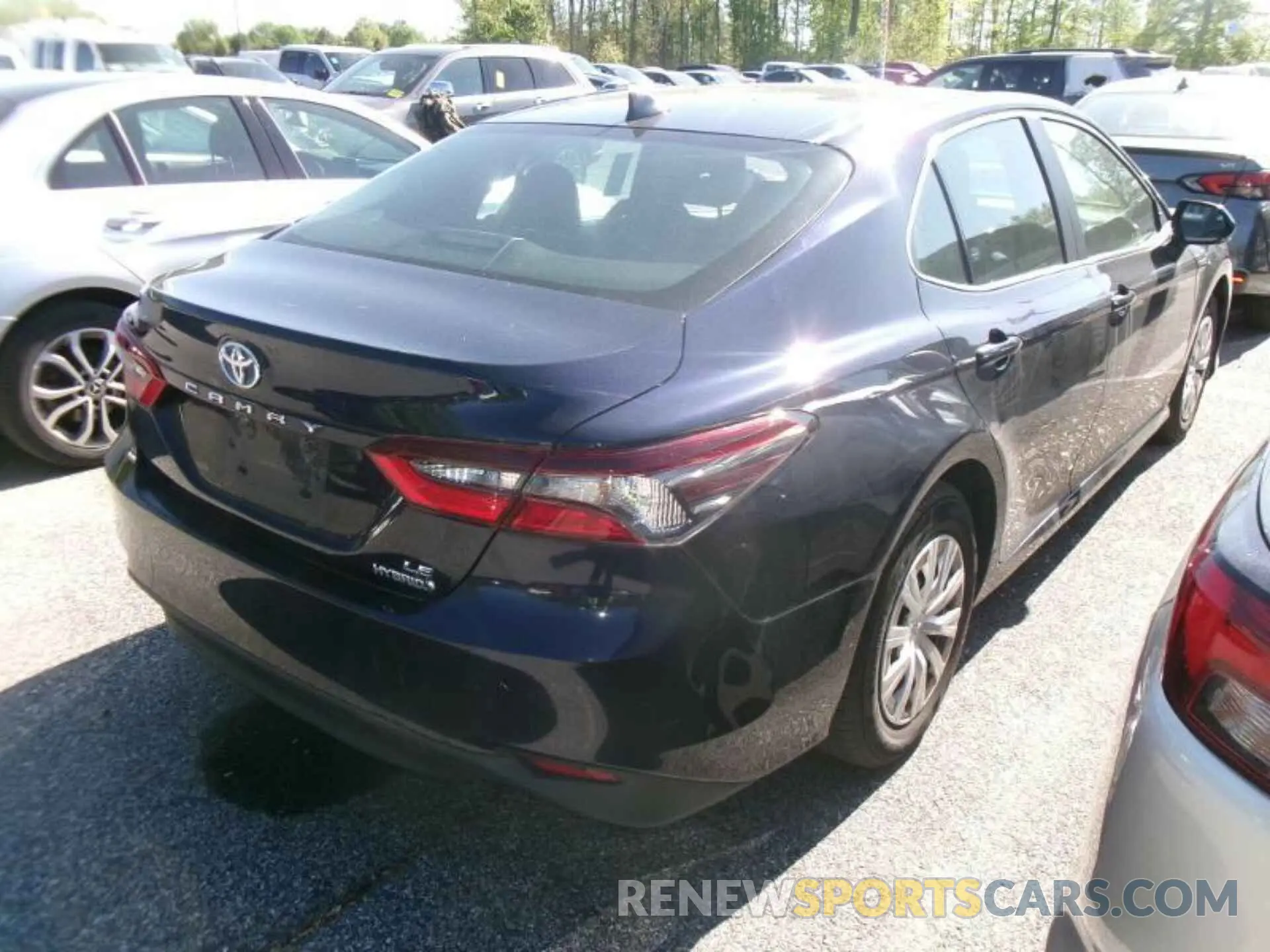 12 Photograph of a damaged car 4T1C31AK5MU551450 TOYOTA CAMRY 2021