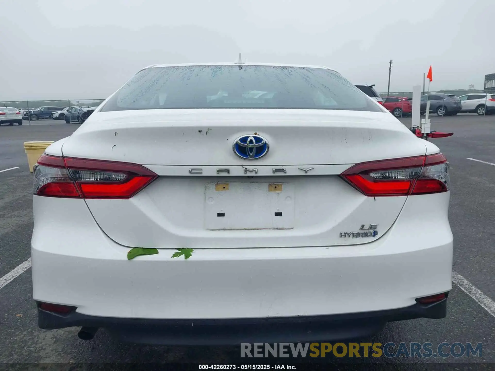 16 Фотография поврежденного автомобиля 4T1C31AK8MU565617 TOYOTA CAMRY 2021