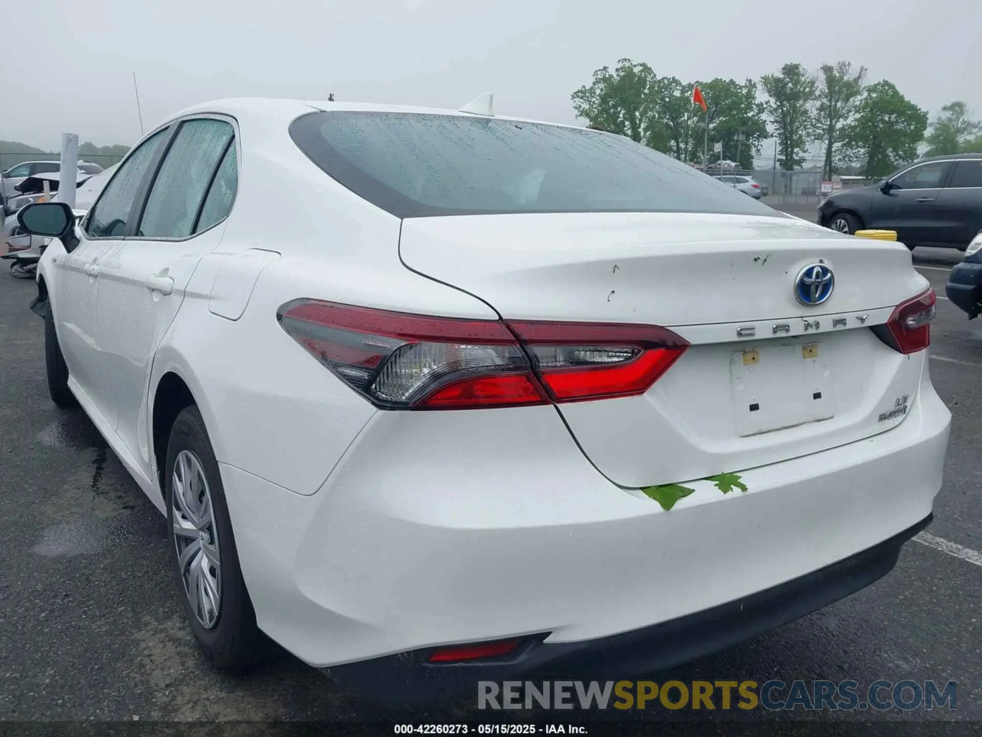 3 Фотография поврежденного автомобиля 4T1C31AK8MU565617 TOYOTA CAMRY 2021