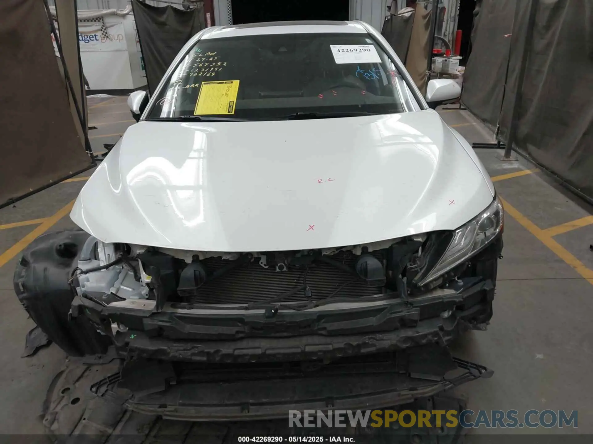 12 Photograph of a damaged car 4T1F31AK0MU569352 TOYOTA CAMRY 2021