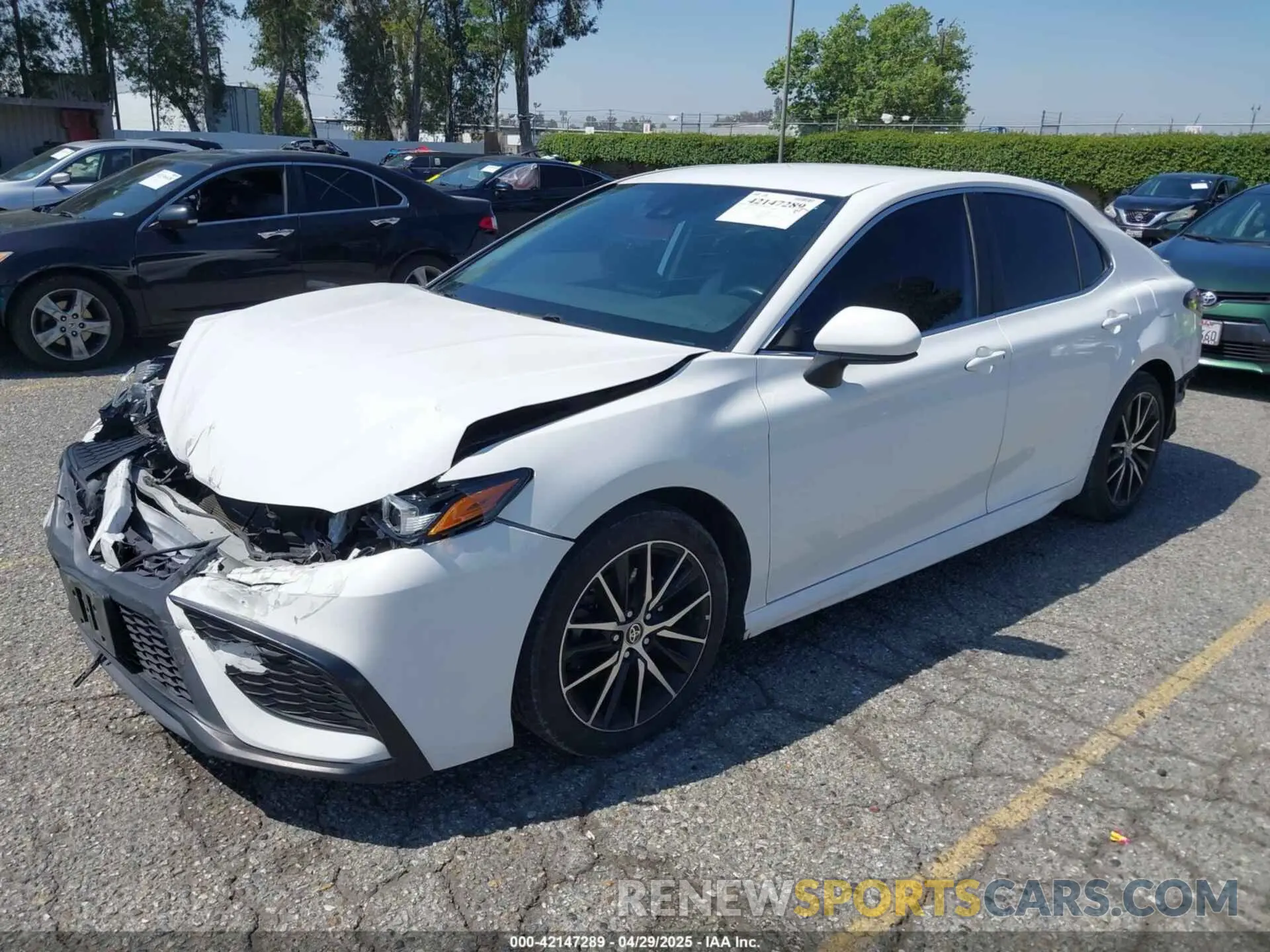2 Фотография поврежденного автомобиля 4T1G11AK0MU451229 TOYOTA CAMRY 2021