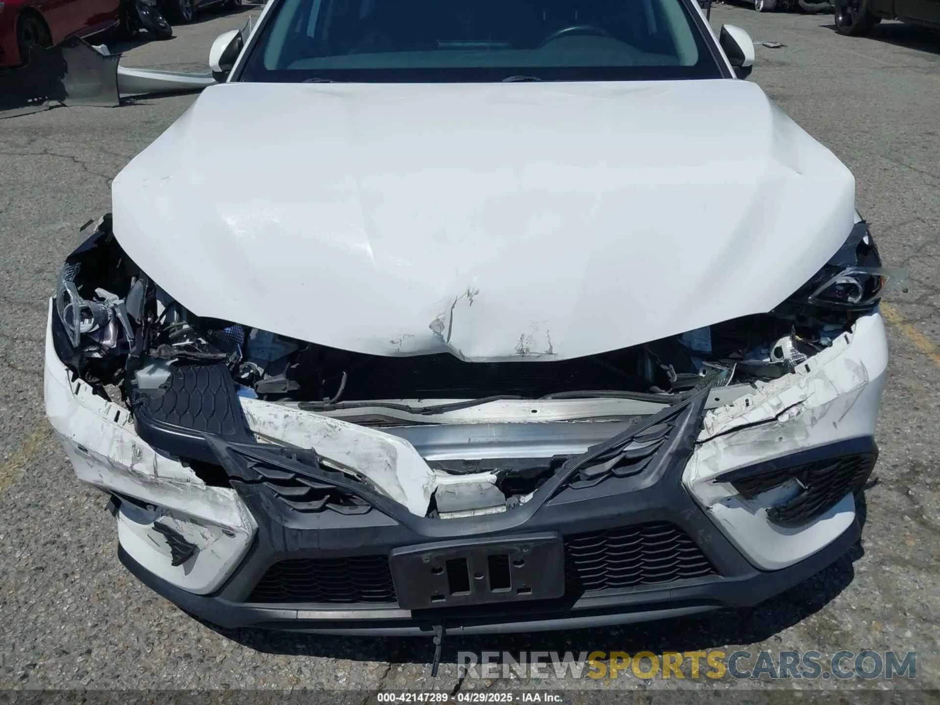 6 Фотография поврежденного автомобиля 4T1G11AK0MU451229 TOYOTA CAMRY 2021