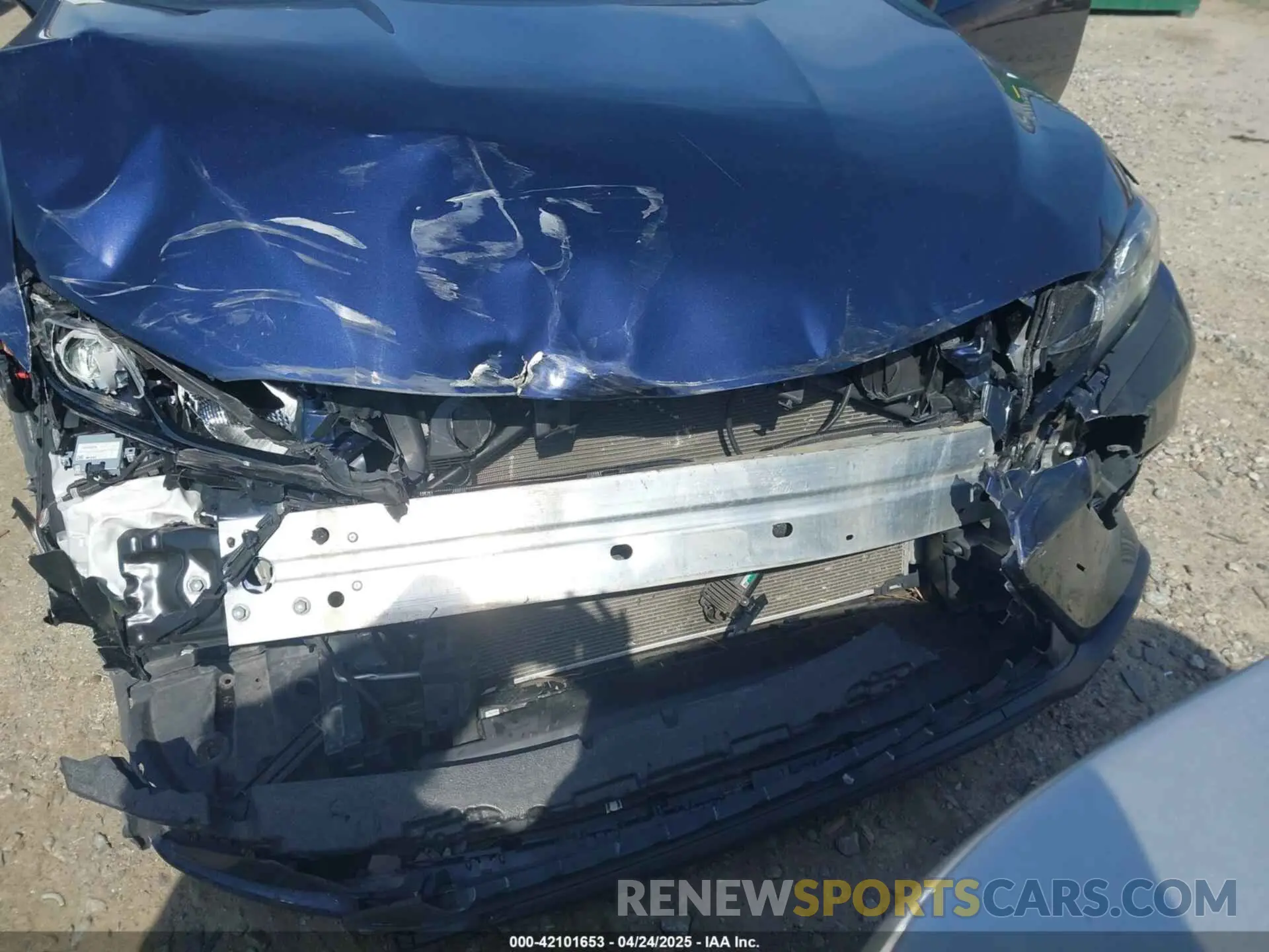 6 Photograph of a damaged car 4T1G11AK1MU525760 TOYOTA CAMRY 2021