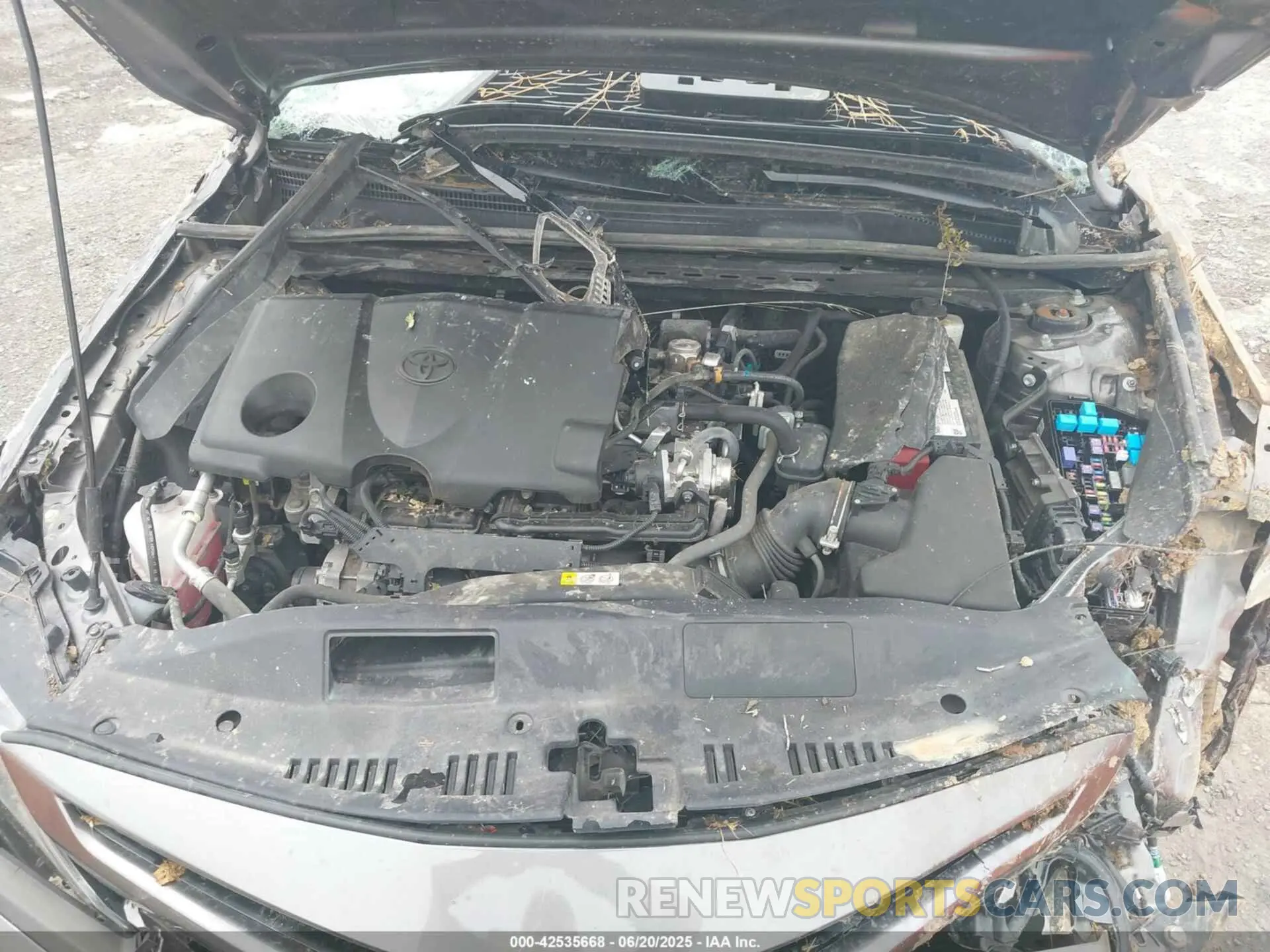 10 Photograph of a damaged car 4T1G11AK7MU523771 TOYOTA CAMRY 2021