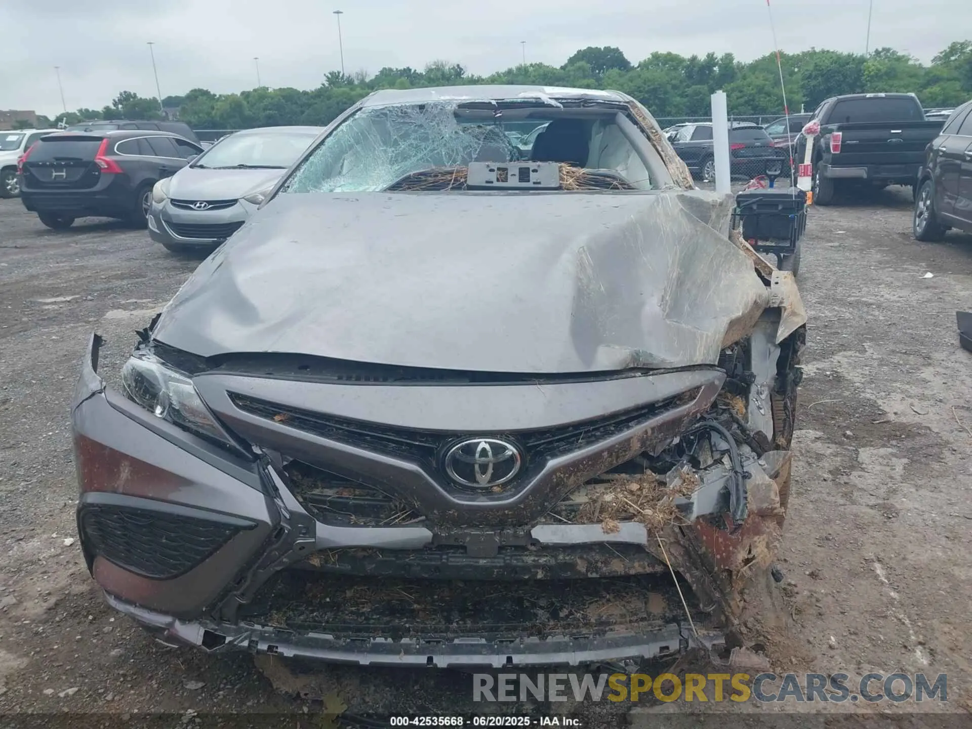 12 Photograph of a damaged car 4T1G11AK7MU523771 TOYOTA CAMRY 2021