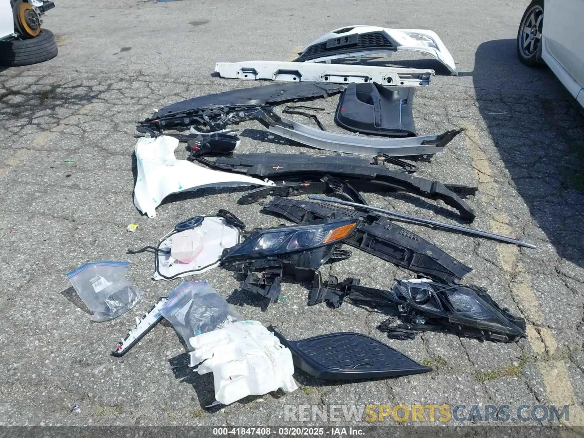 12 Photograph of a damaged car 4T1G11AK8MU553894 TOYOTA CAMRY 2021