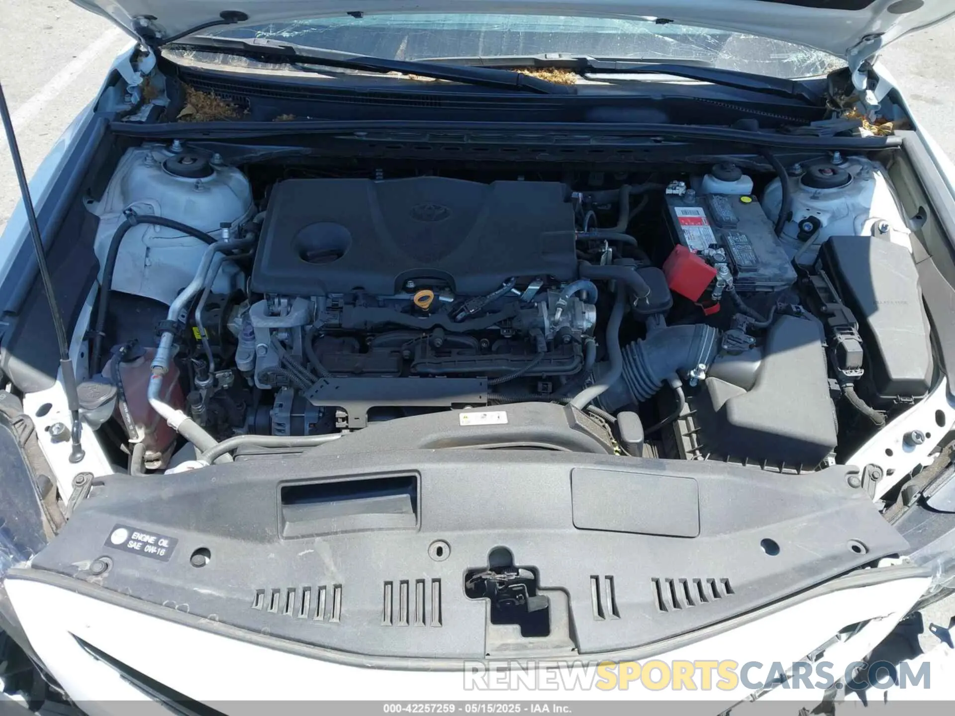 10 Photograph of a damaged car 4T1G11AKXMU439640 TOYOTA CAMRY 2021