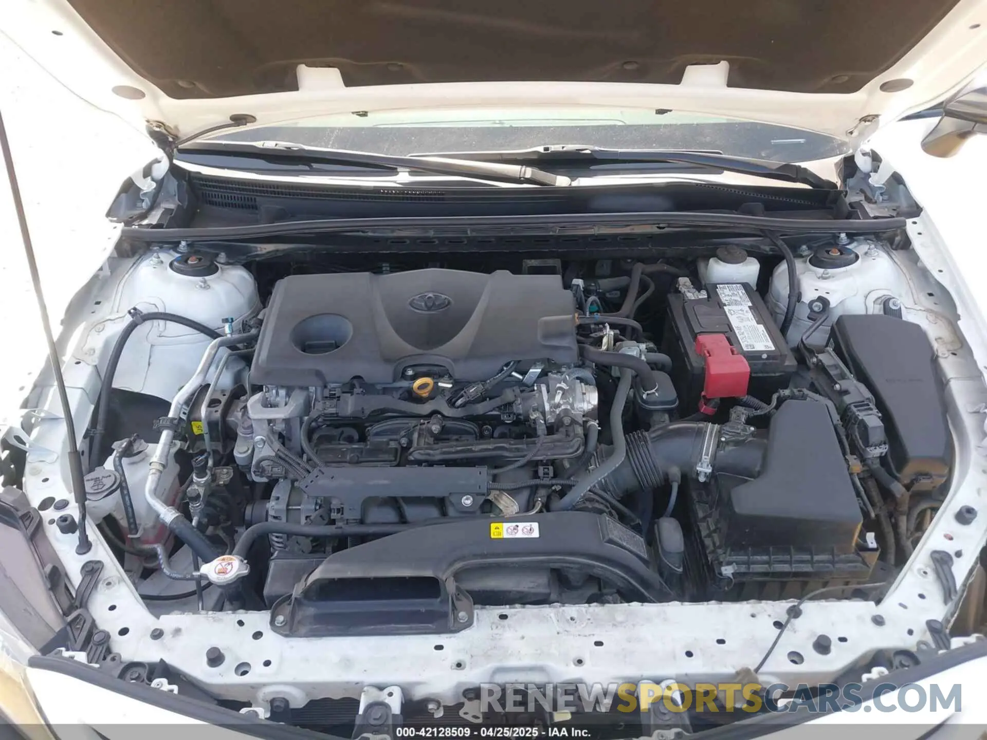 10 Photograph of a damaged car 4T1G11BK5MU020920 TOYOTA CAMRY 2021