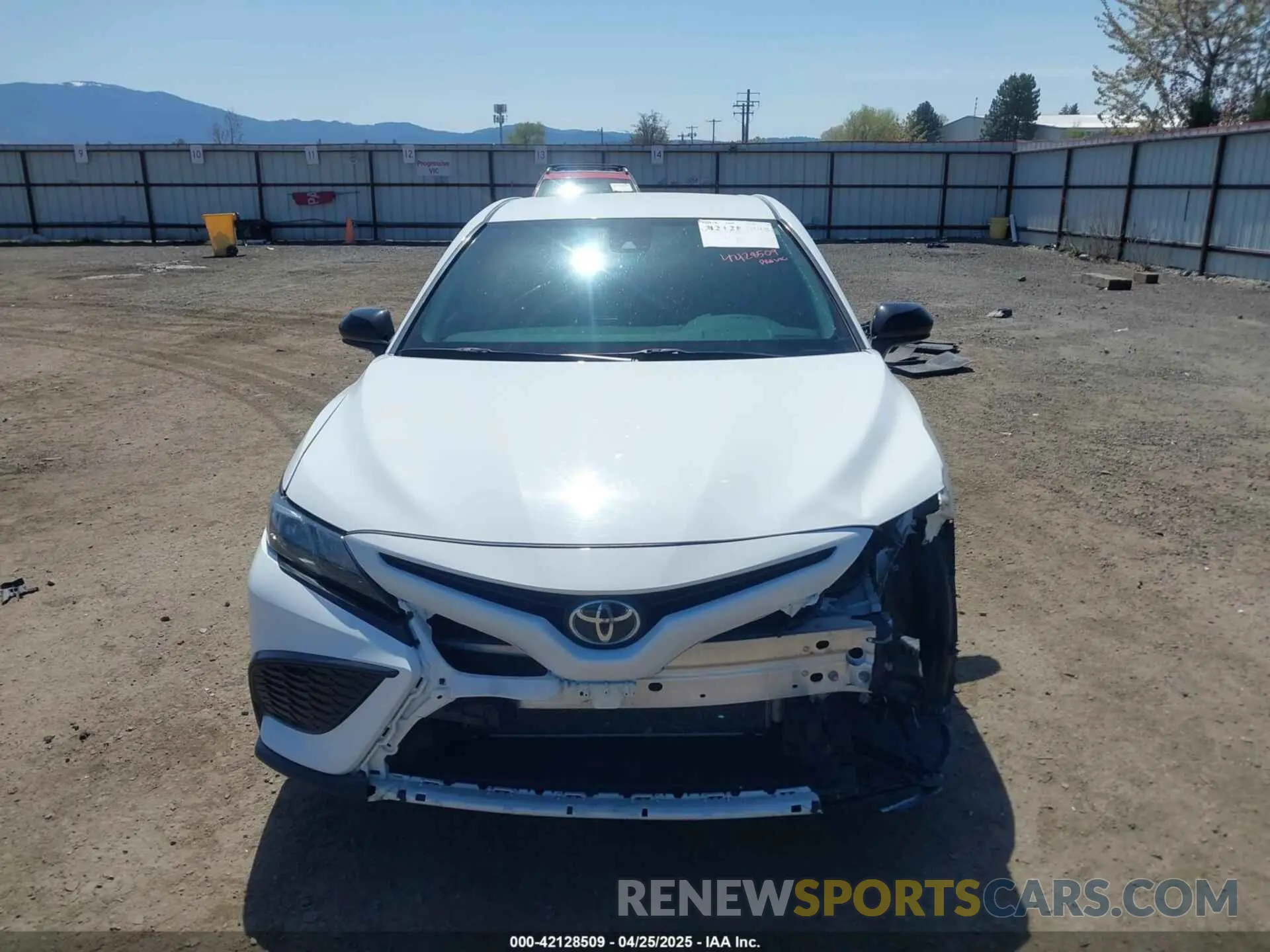 13 Photograph of a damaged car 4T1G11BK5MU020920 TOYOTA CAMRY 2021