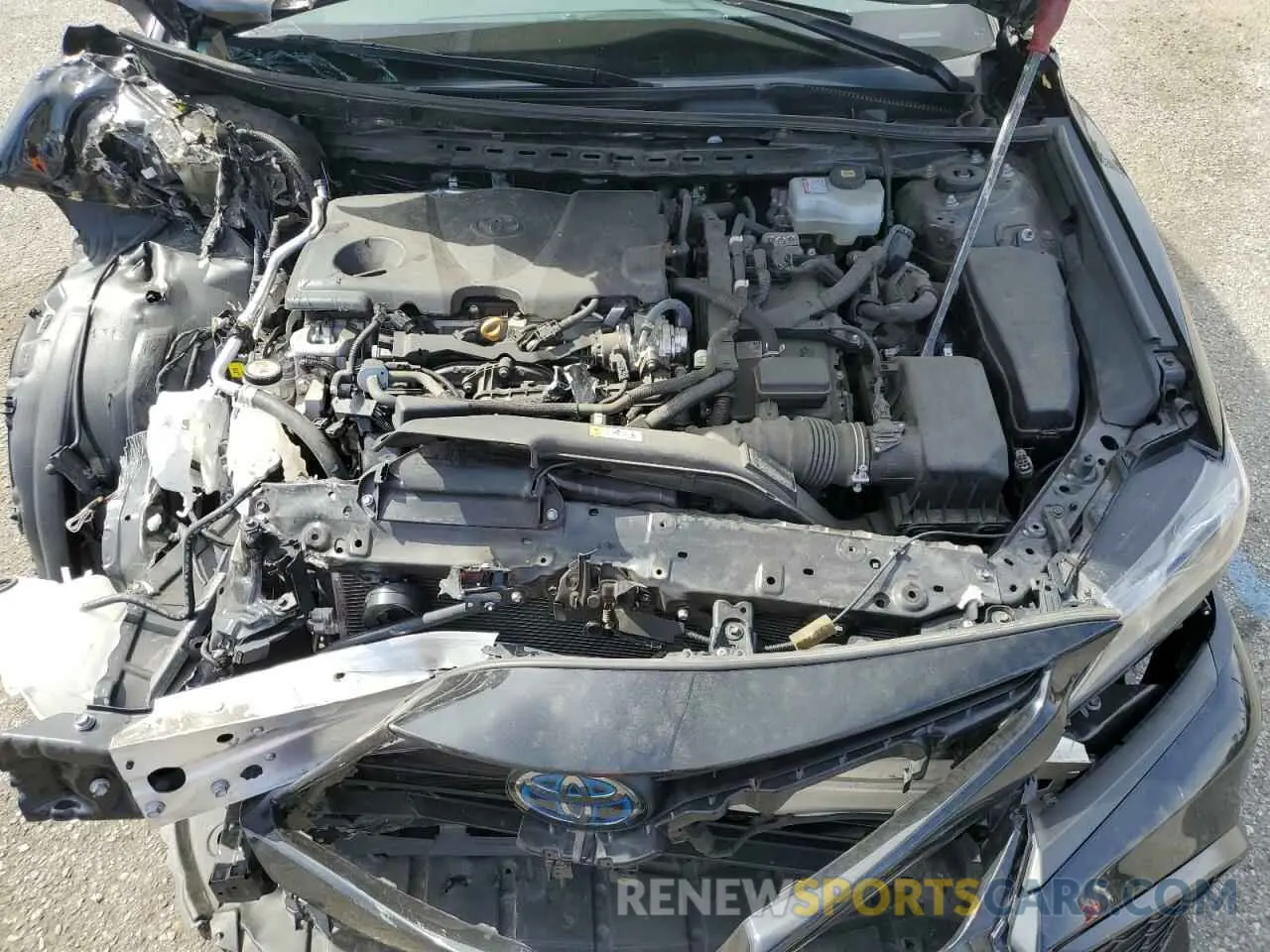 12 Photograph of a damaged car 4T1G31AK3MU565865 TOYOTA CAMRY 2021