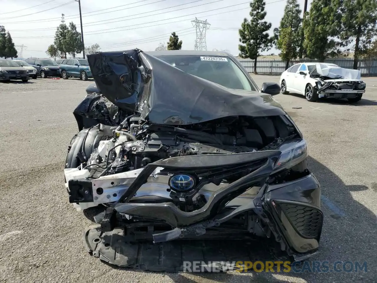 5 Photograph of a damaged car 4T1G31AK3MU565865 TOYOTA CAMRY 2021