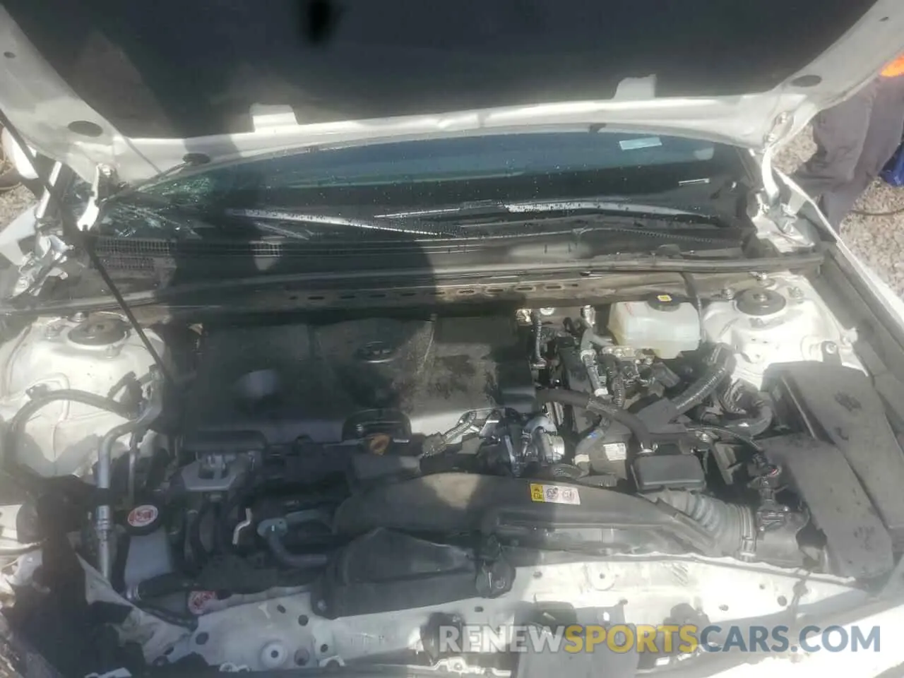 7 Photograph of a damaged car 4T1G31AK5MU550333 TOYOTA CAMRY 2021