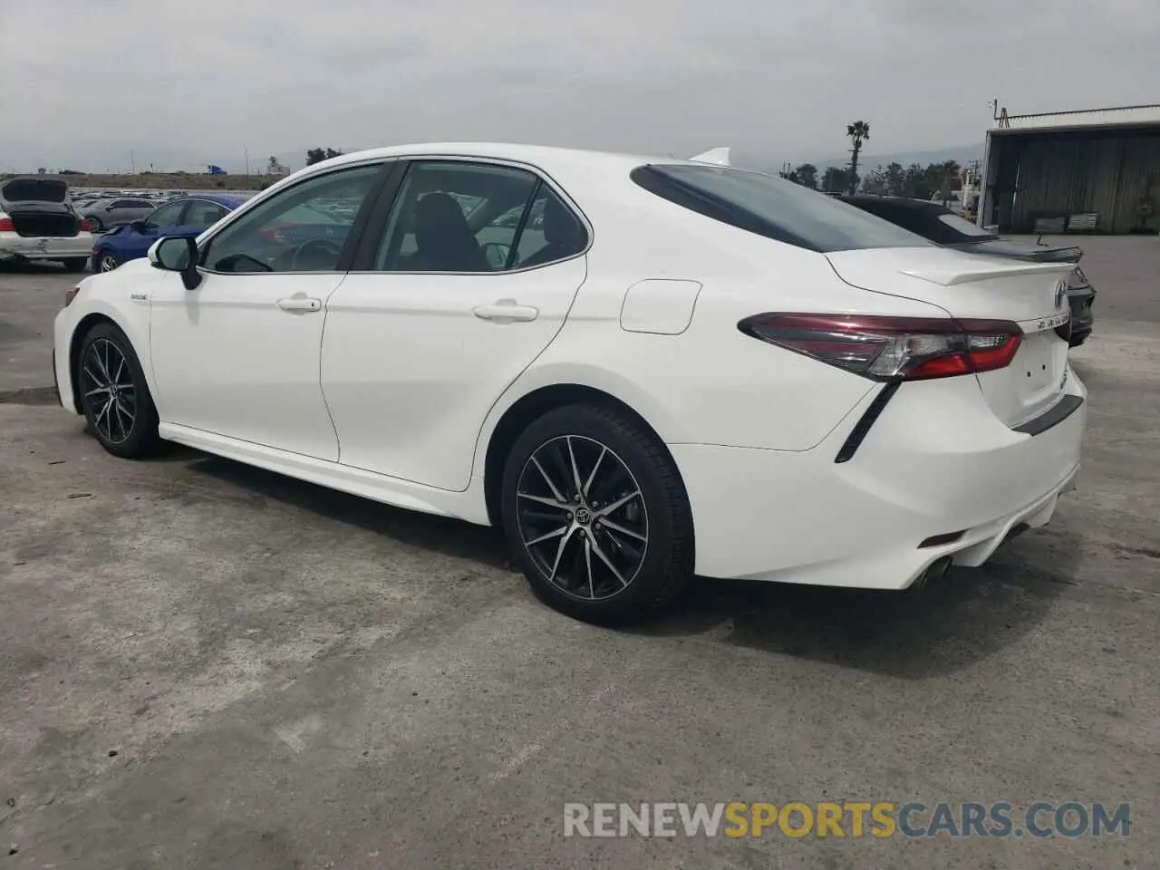 2 Photograph of a damaged car 4T1G31AK8MU025489 TOYOTA CAMRY 2021