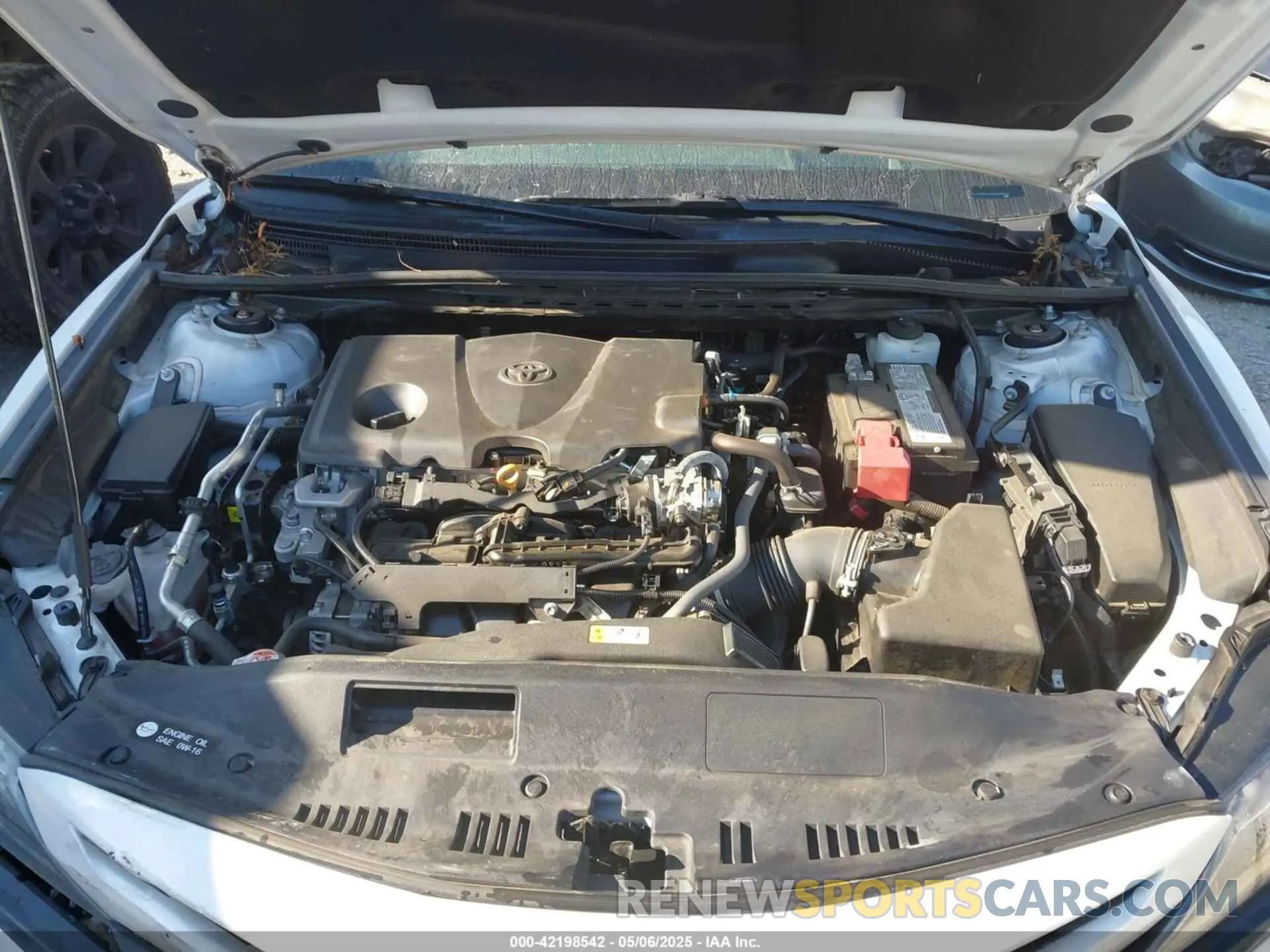 10 Photograph of a damaged car 4T1K61AK1MU590961 TOYOTA CAMRY 2021
