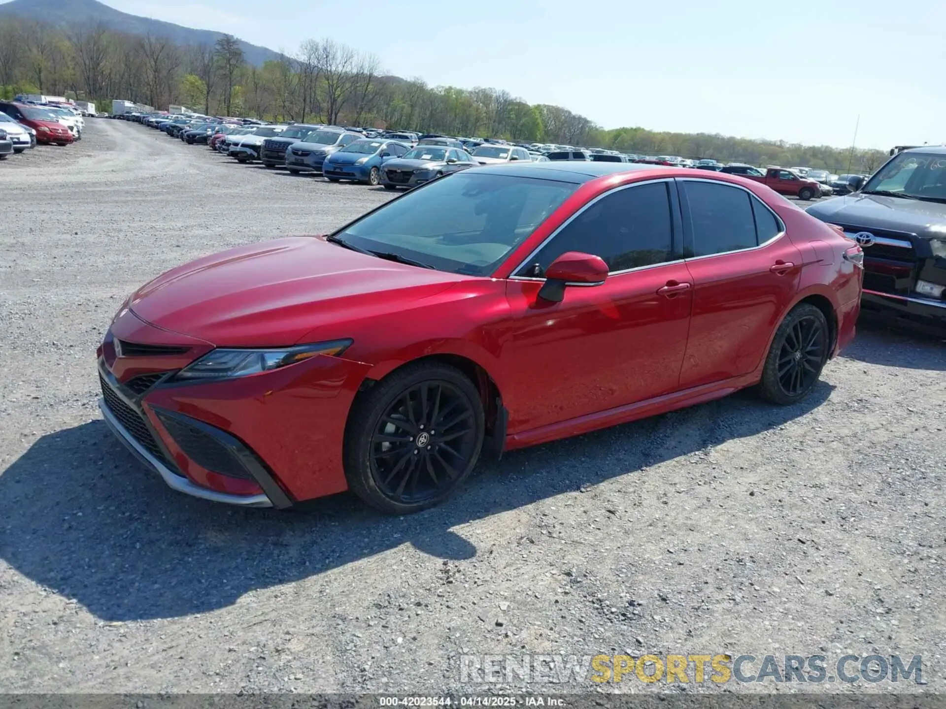 2 Photograph of a damaged car 4T1K61BK4MU035758 TOYOTA CAMRY 2021
