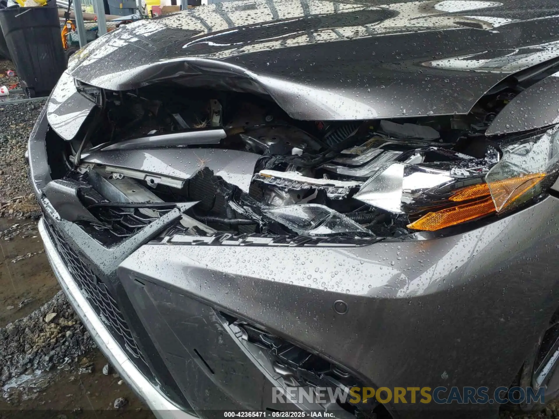 6 Photograph of a damaged car 4T1K61BK6MU031856 TOYOTA CAMRY 2021
