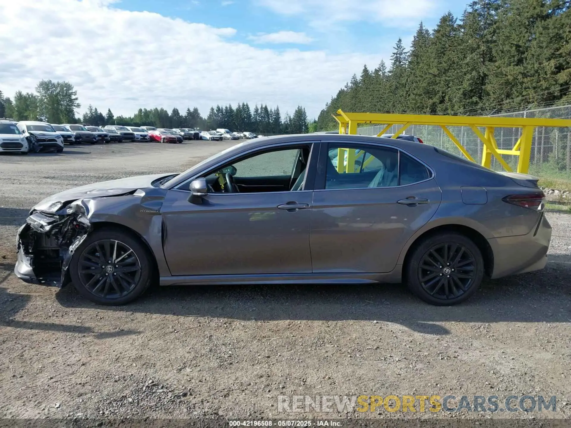13 Photograph of a damaged car 4T1S31AK3MU568131 TOYOTA CAMRY 2021