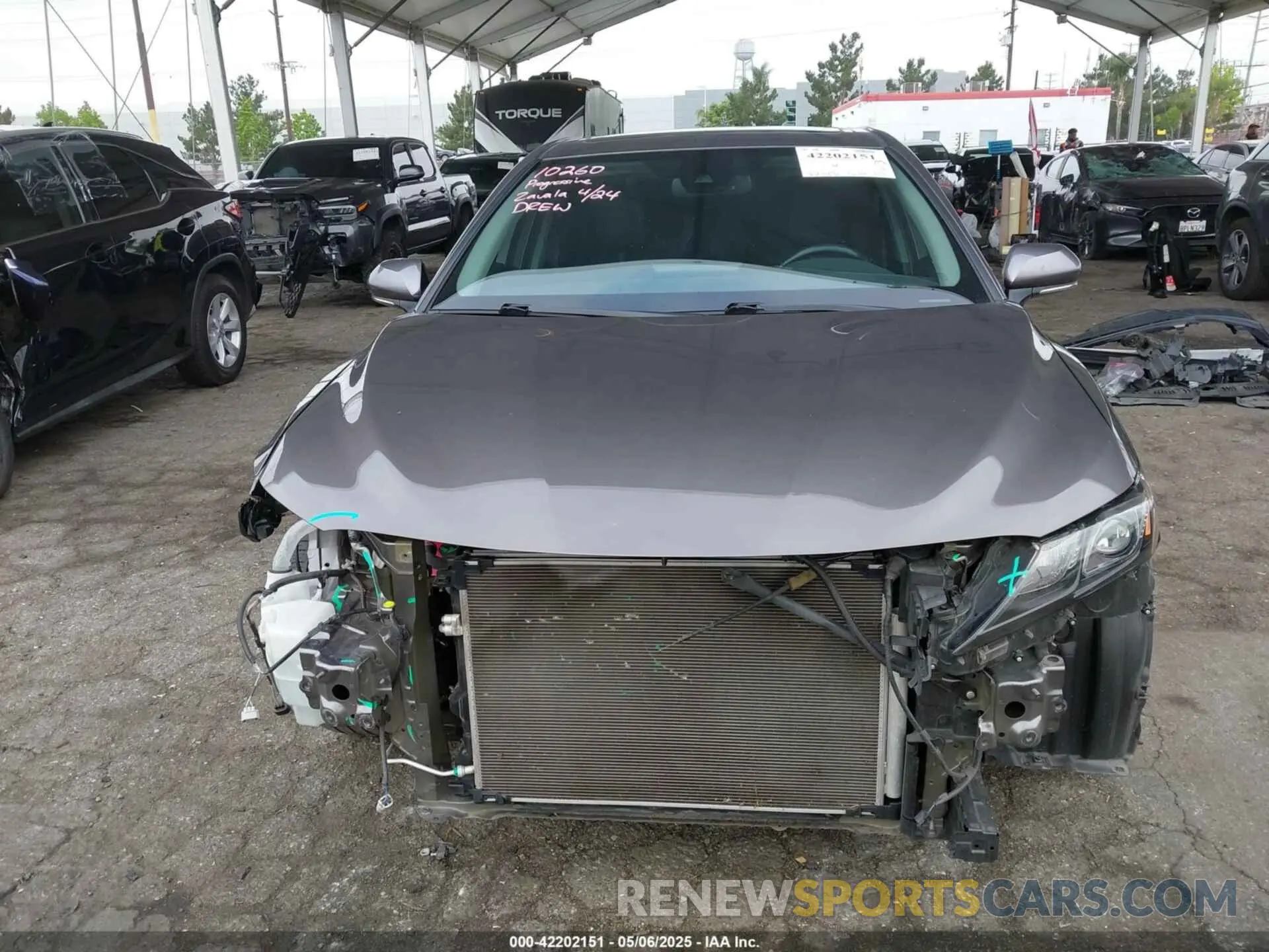 13 Photograph of a damaged car 4T1S31AKXMU558387 TOYOTA CAMRY 2021