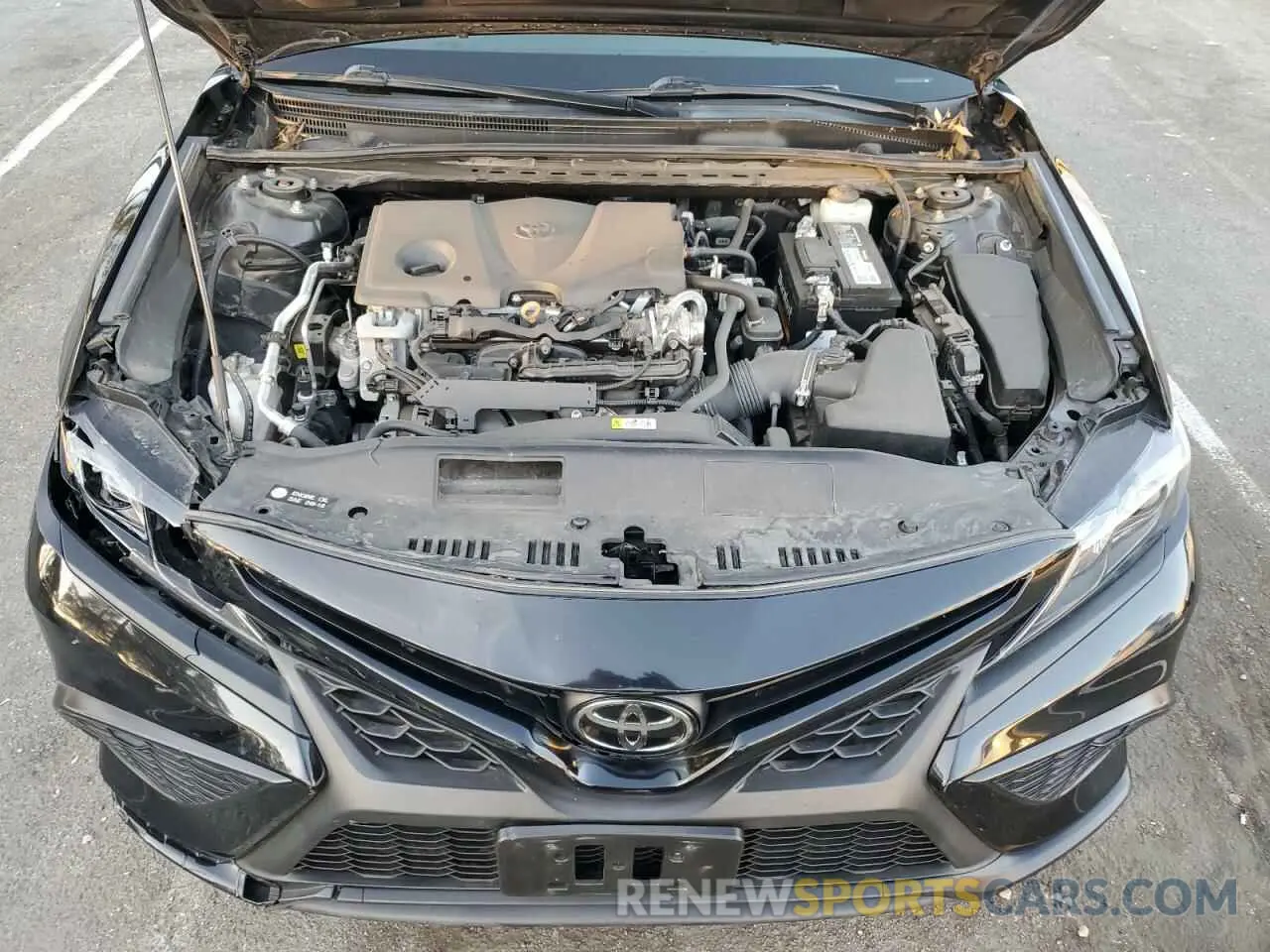11 Photograph of a damaged car 4T1T11AK8MU431261 TOYOTA CAMRY 2021
