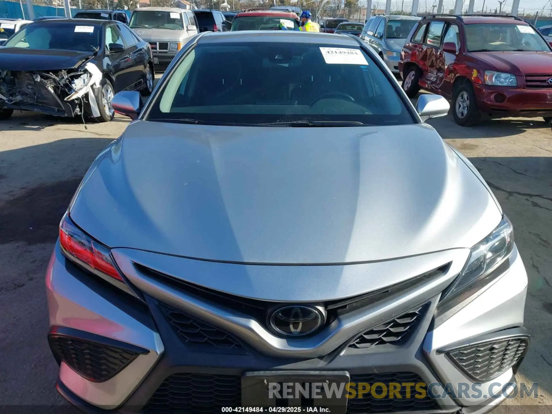 12 Photograph of a damaged car 4T1T11BK1MU041620 TOYOTA CAMRY 2021