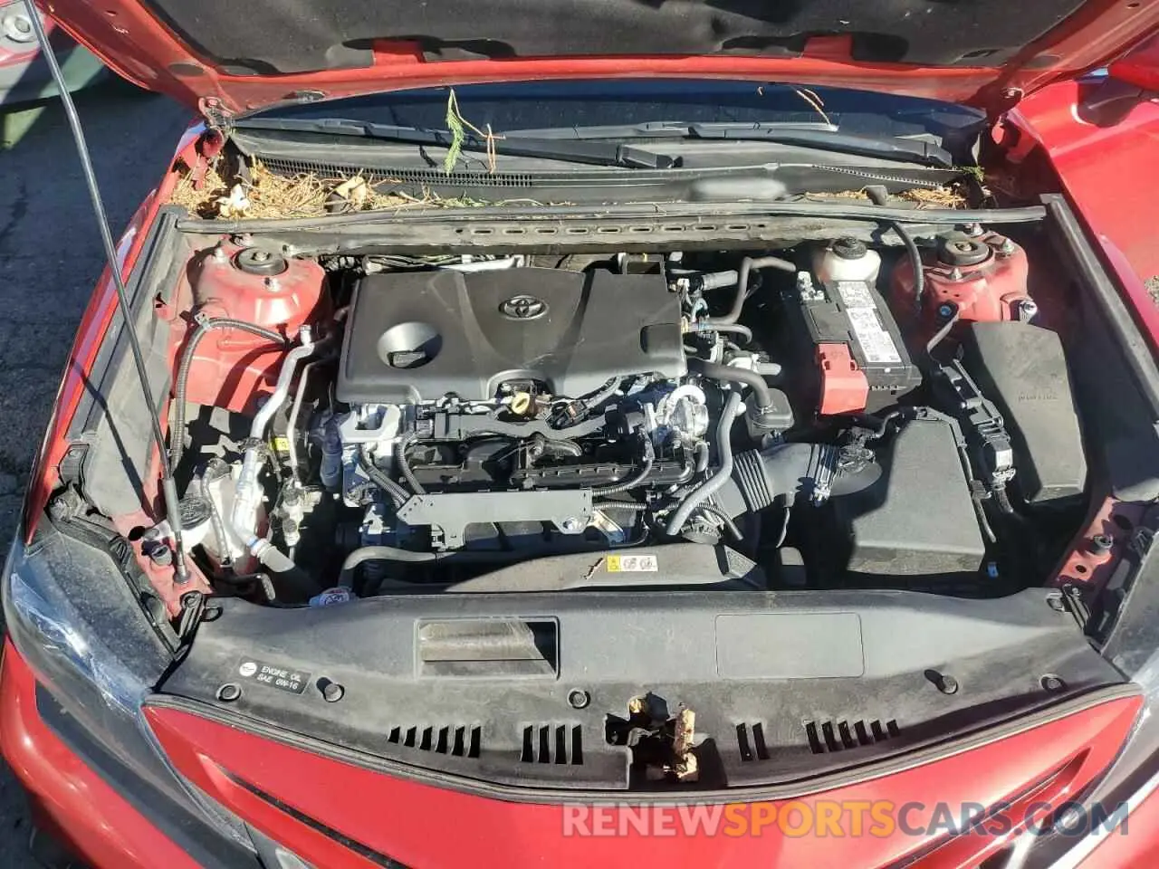 11 Photograph of a damaged car 4T1T11BK6MU022142 TOYOTA CAMRY 2021