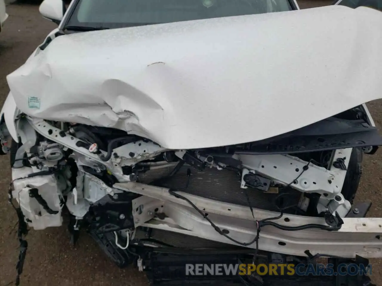 11 Photograph of a damaged car 4T1B21HK9NU018409 TOYOTA CAMRY 2022