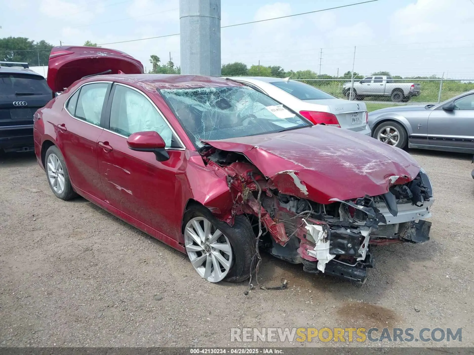 1 Фотография поврежденного автомобиля 4T1C11AKXNU636839 TOYOTA CAMRY 2022