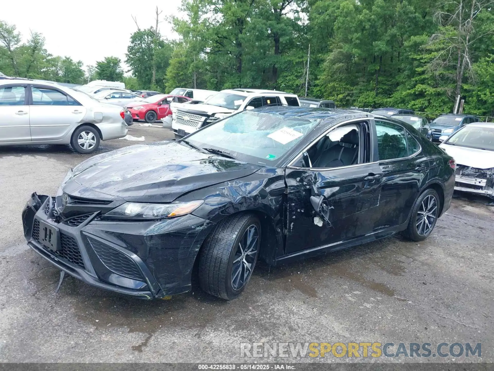 6 Photograph of a damaged car 4T1G11AK2NU709977 TOYOTA CAMRY 2022
