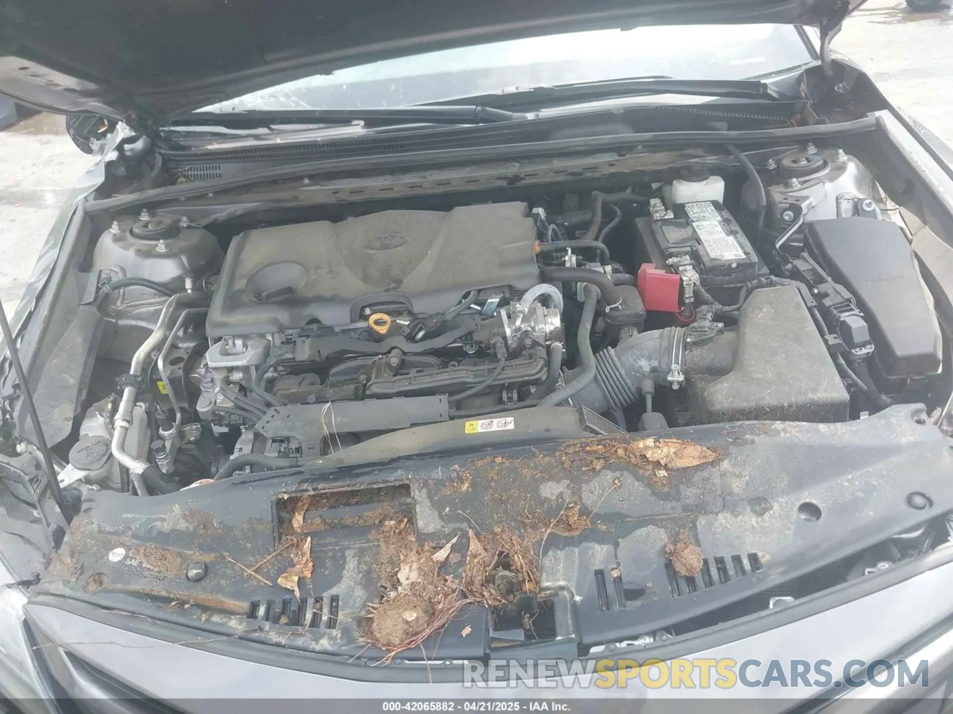 10 Photograph of a damaged car 4T1G11AKXNU678042 TOYOTA CAMRY 2022