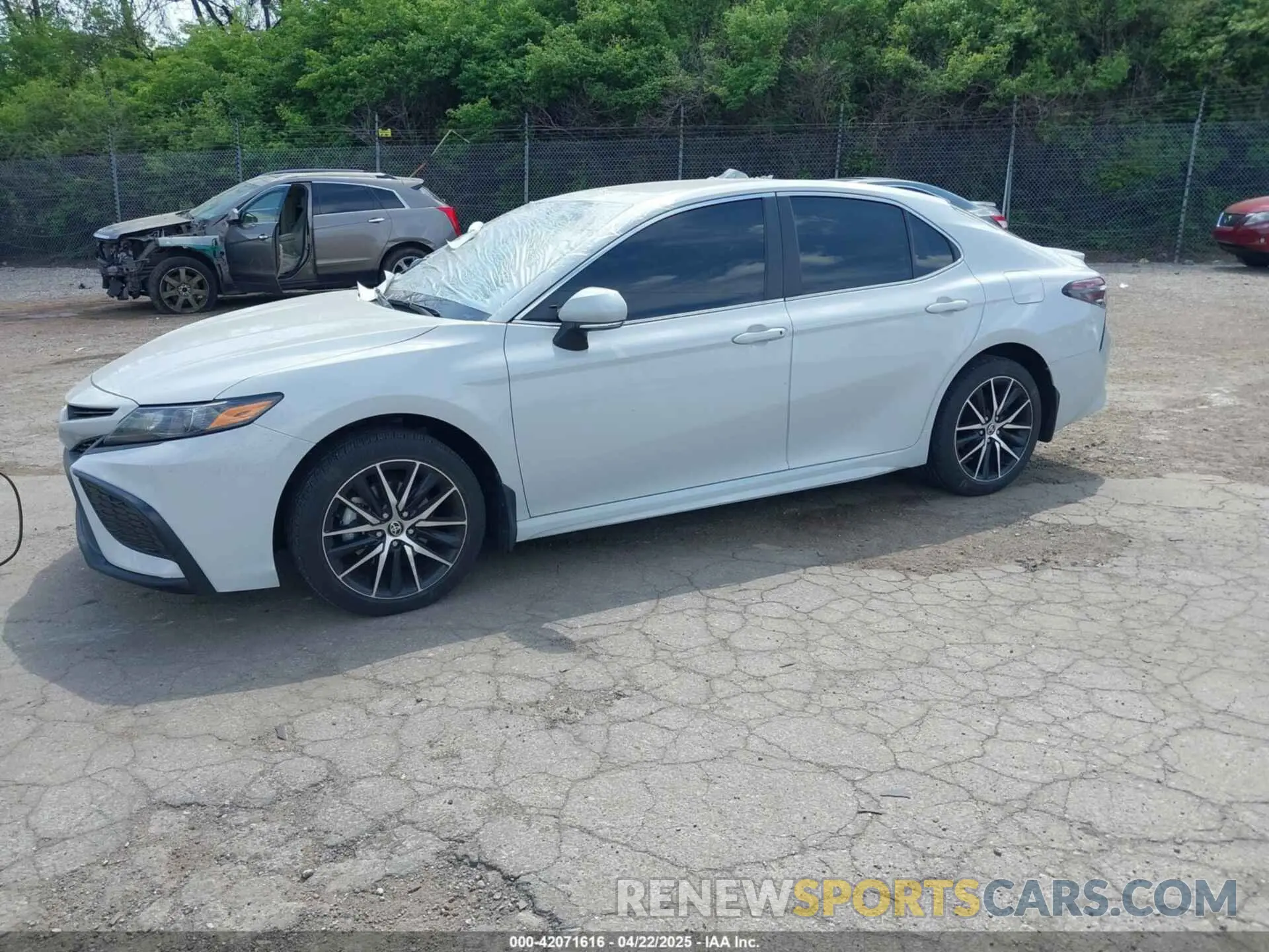 2 Photograph of a damaged car 4T1G11BK4NU048290 TOYOTA CAMRY 2022