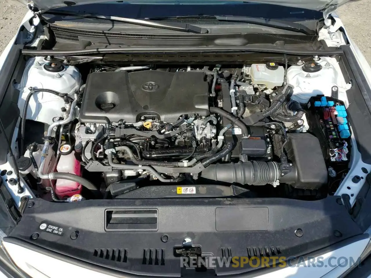 11 Photograph of a damaged car 4T1G31AK2NU570248 TOYOTA CAMRY 2022