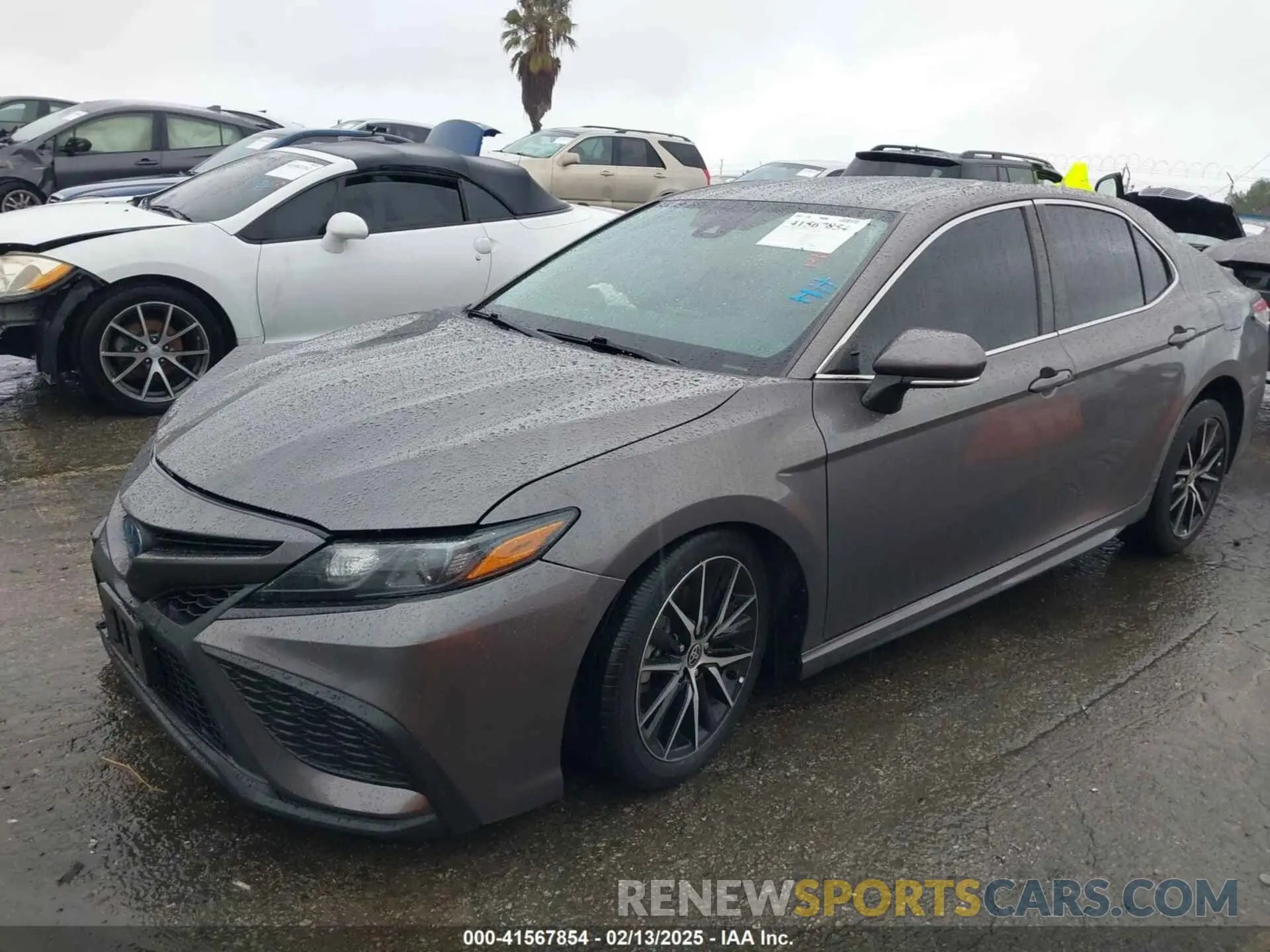 2 Photograph of a damaged car 4T1G31AK4NU571479 TOYOTA CAMRY 2022