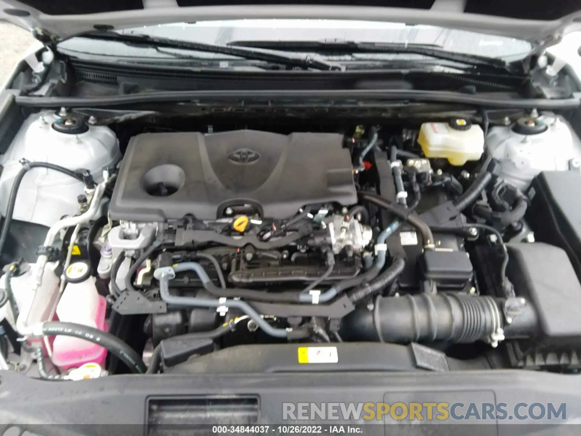 10 Photograph of a damaged car 4T1G31AKXNU035331 TOYOTA CAMRY 2022
