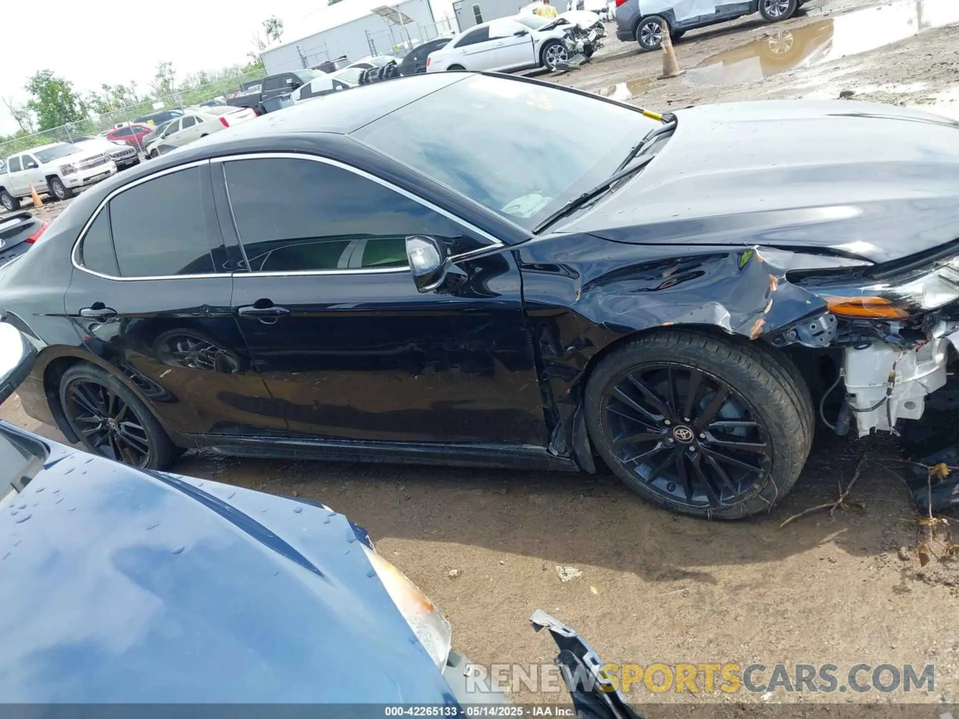 13 Photograph of a damaged car 4T1K31AK0NU595563 TOYOTA CAMRY 2022