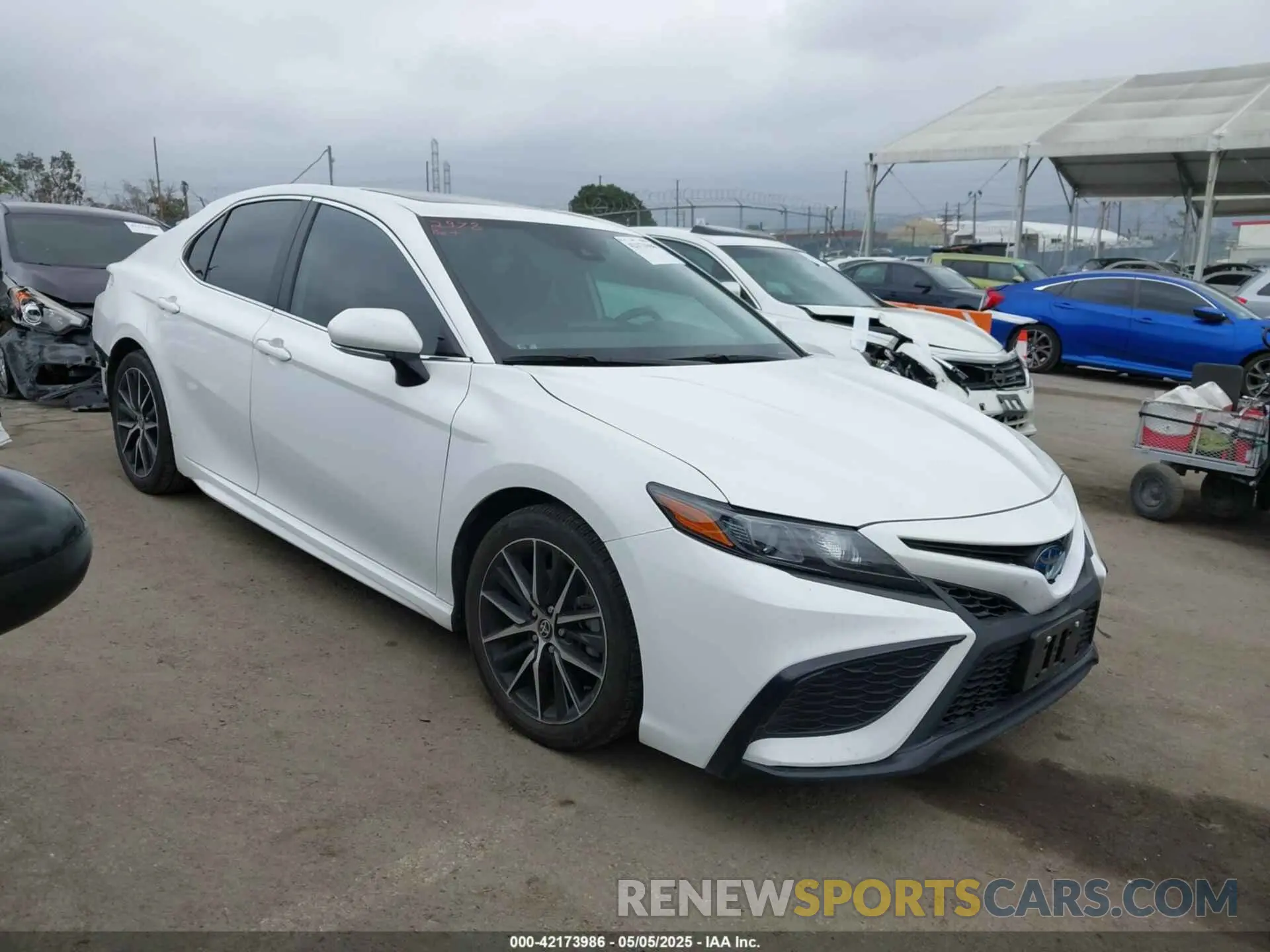 1 Фотография поврежденного автомобиля 4T1S31AK9NU587994 TOYOTA CAMRY 2022
