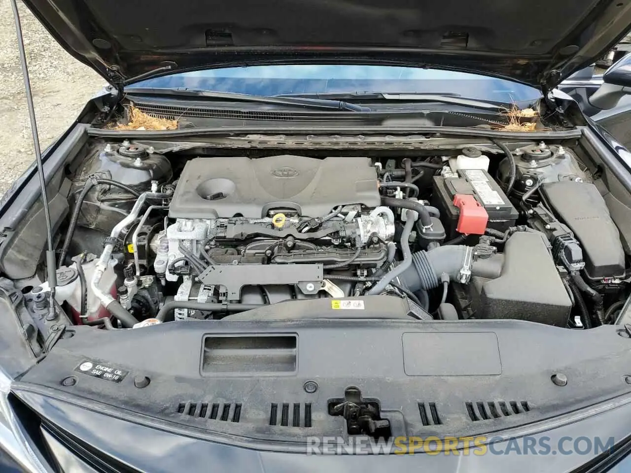 11 Фотография поврежденного автомобиля 4T1C11AK5PU185449 TOYOTA CAMRY 2023
