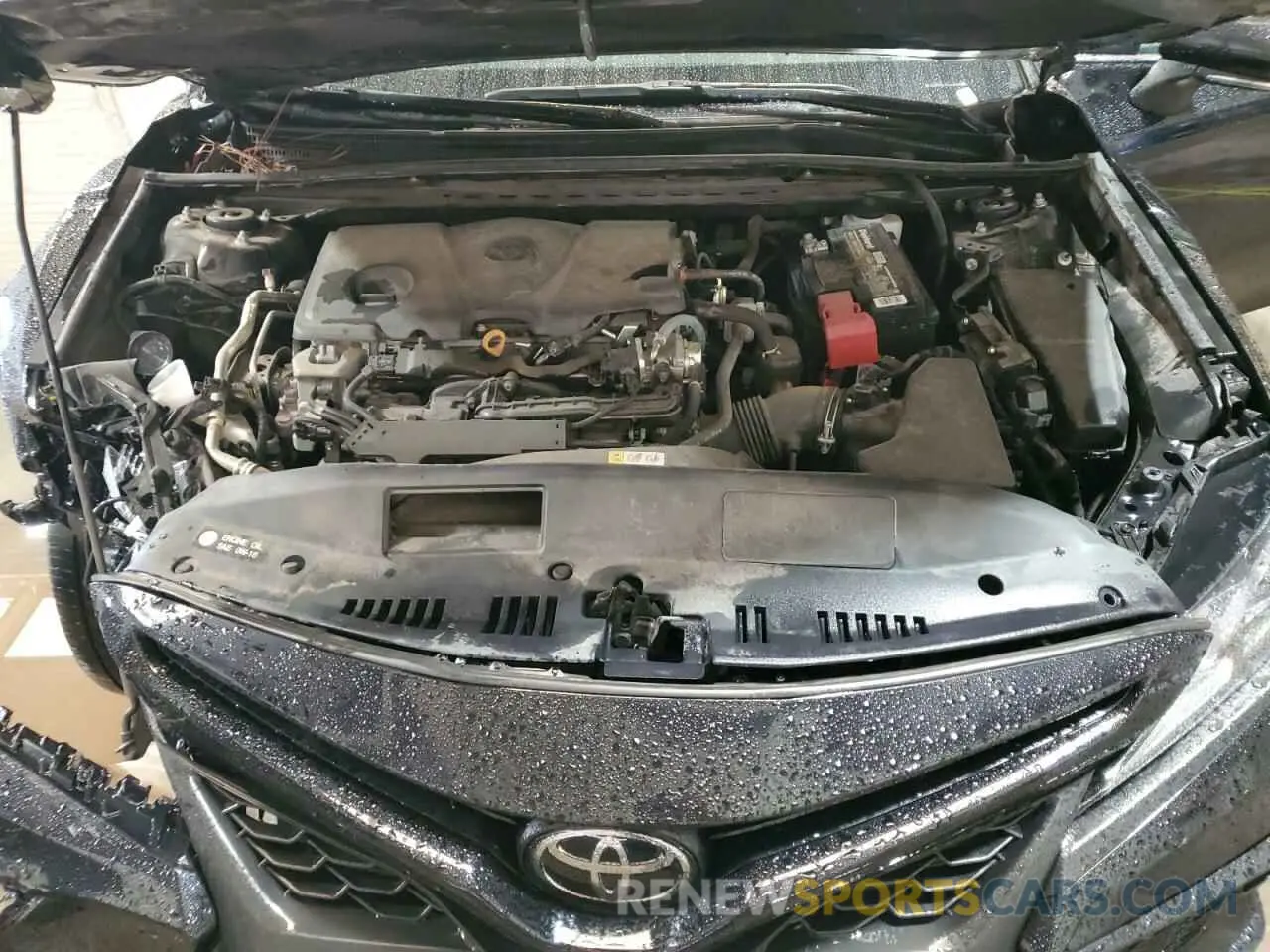 11 Фотография поврежденного автомобиля 4T1G11AK1PU766495 TOYOTA CAMRY 2023